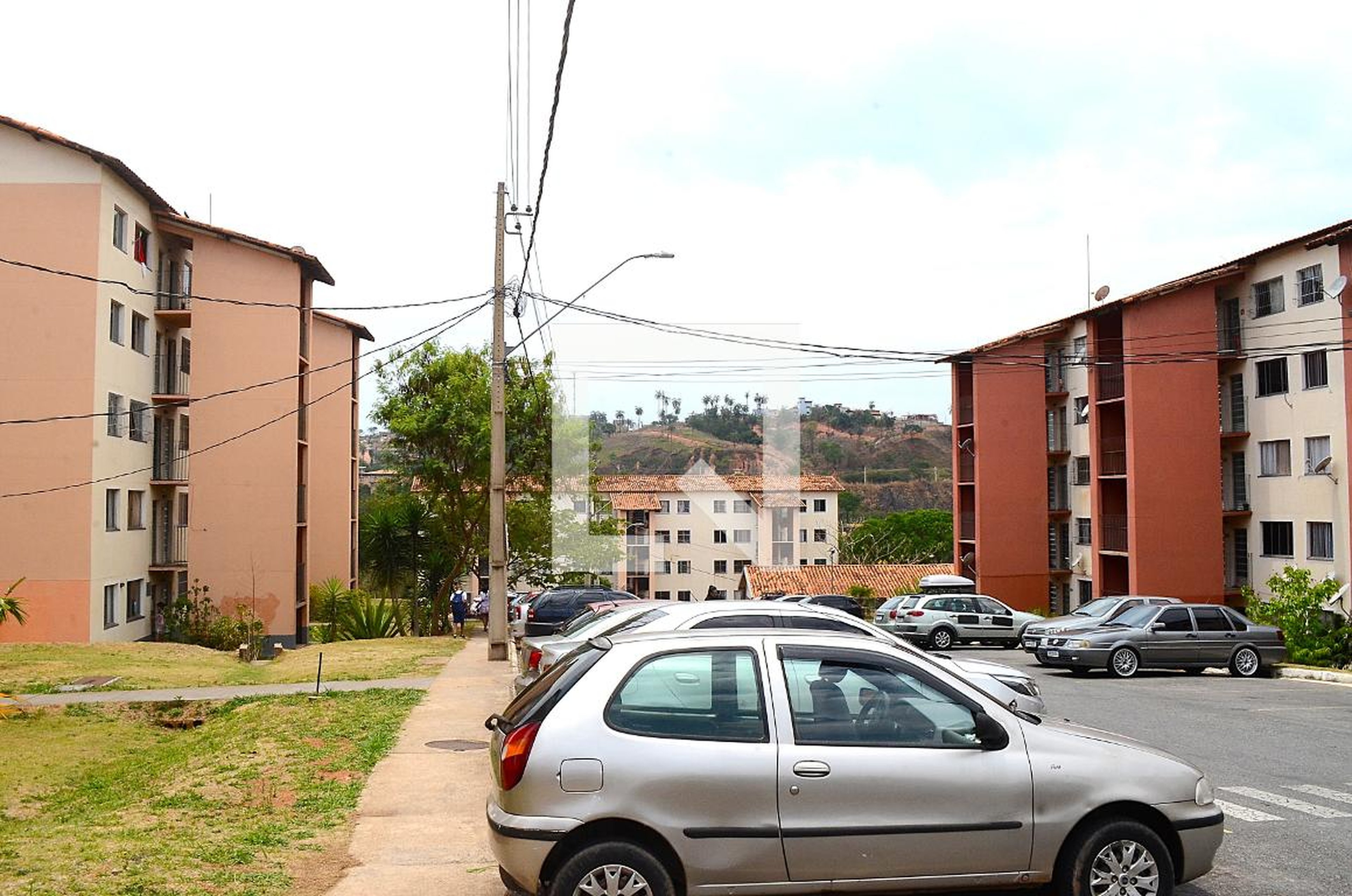 Área externa - Canários