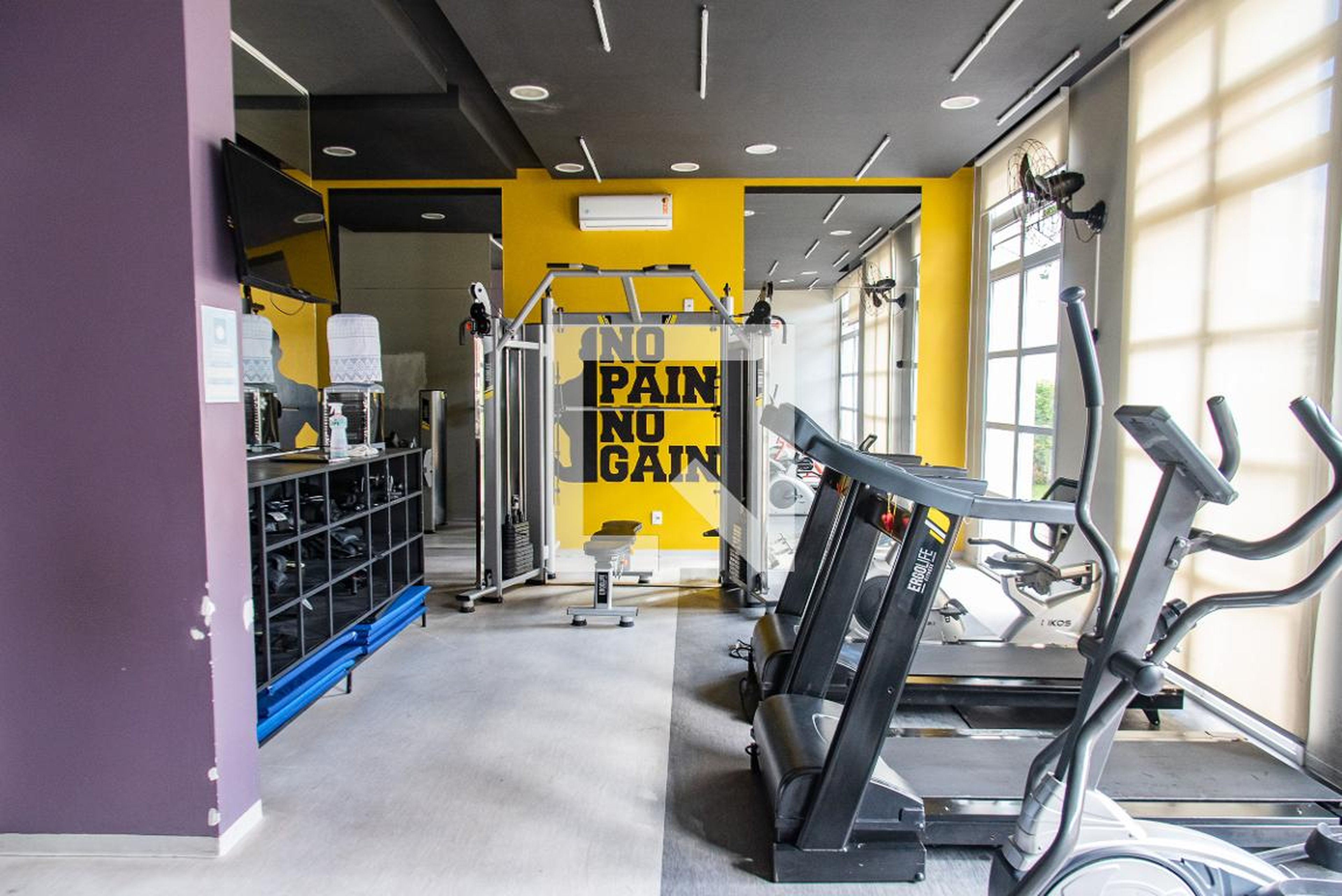 Academia - Mundo Ipiranga