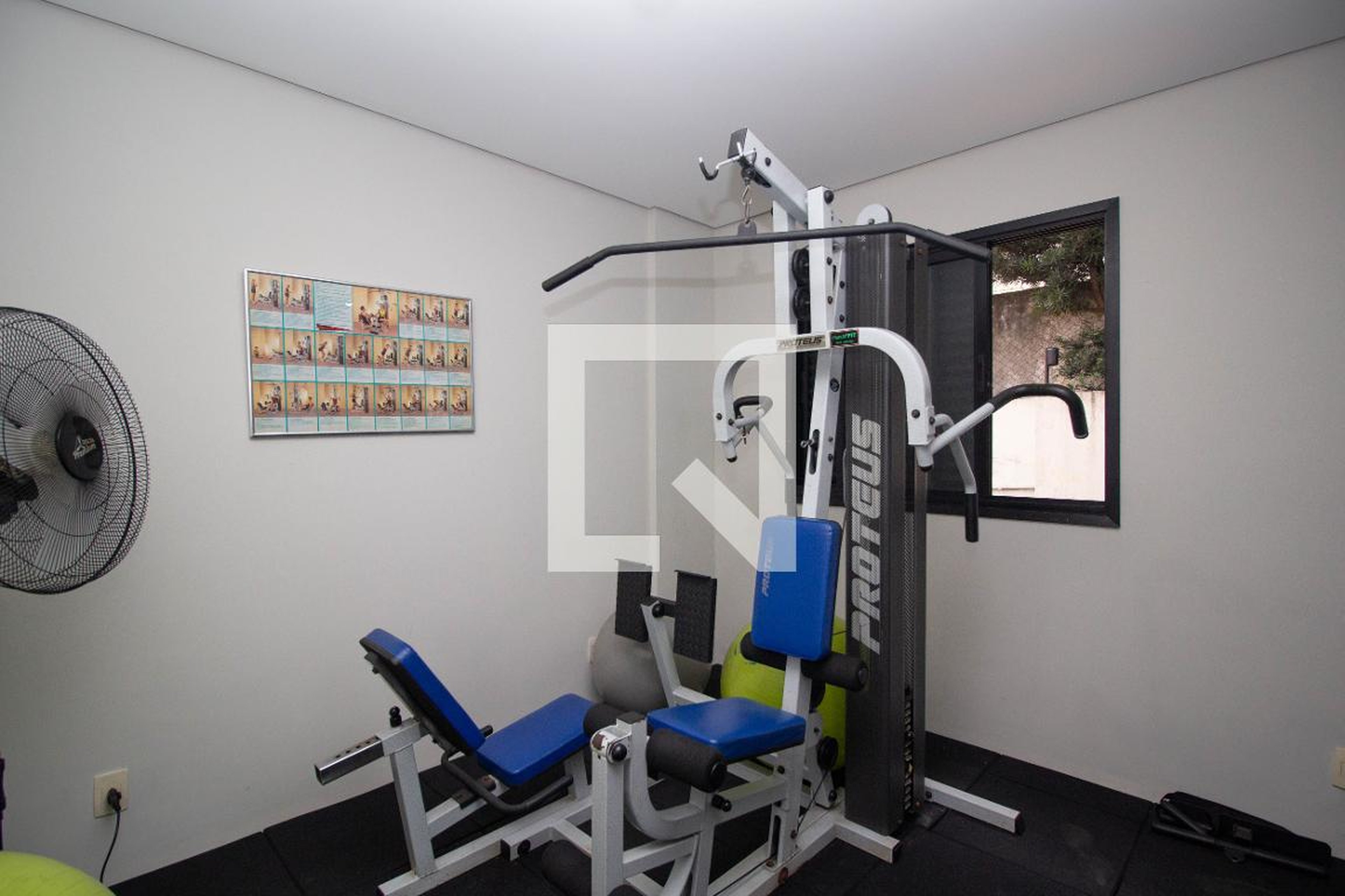 Academia - Ana Cristina