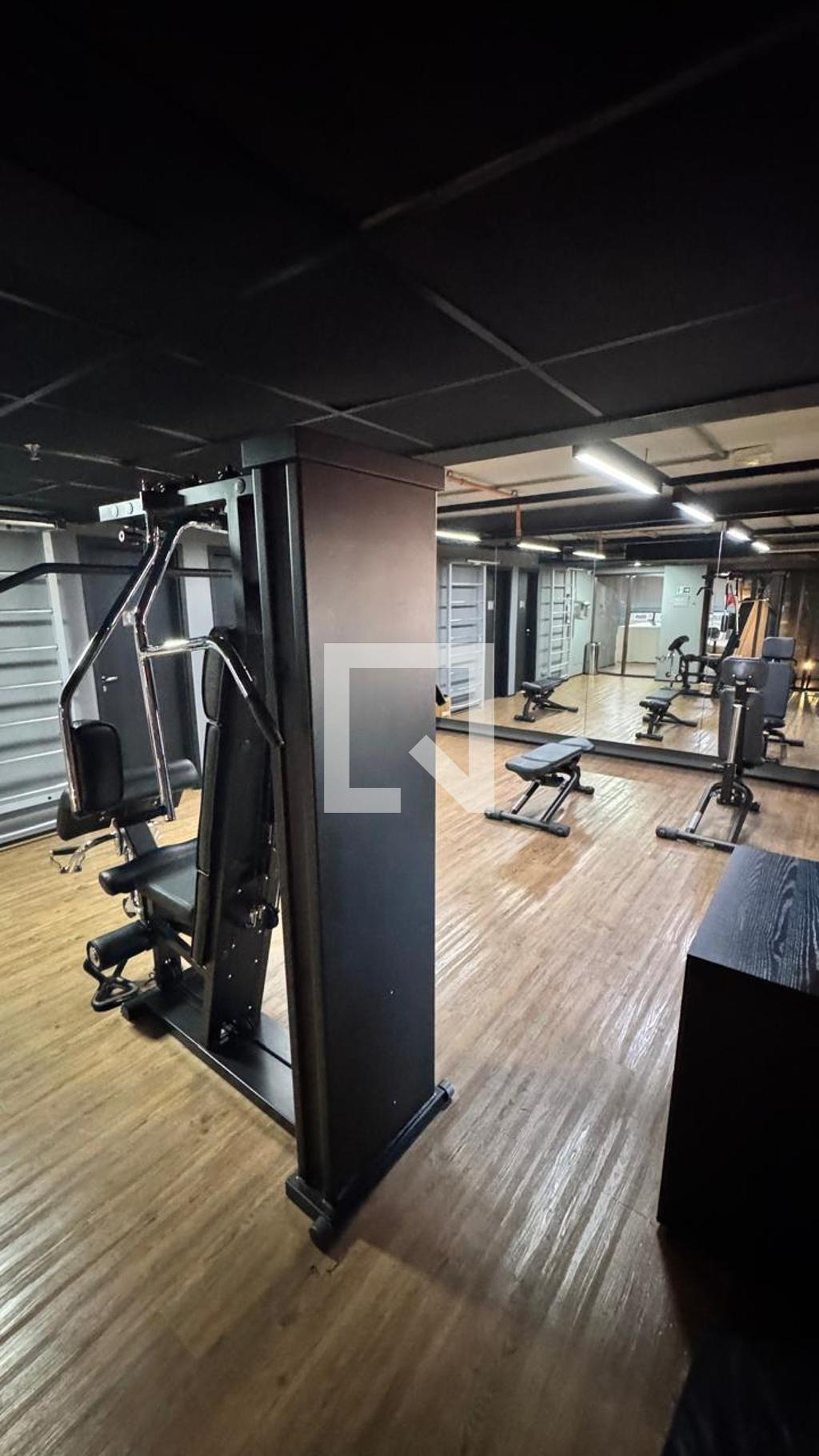 Academia - Alpha Stay