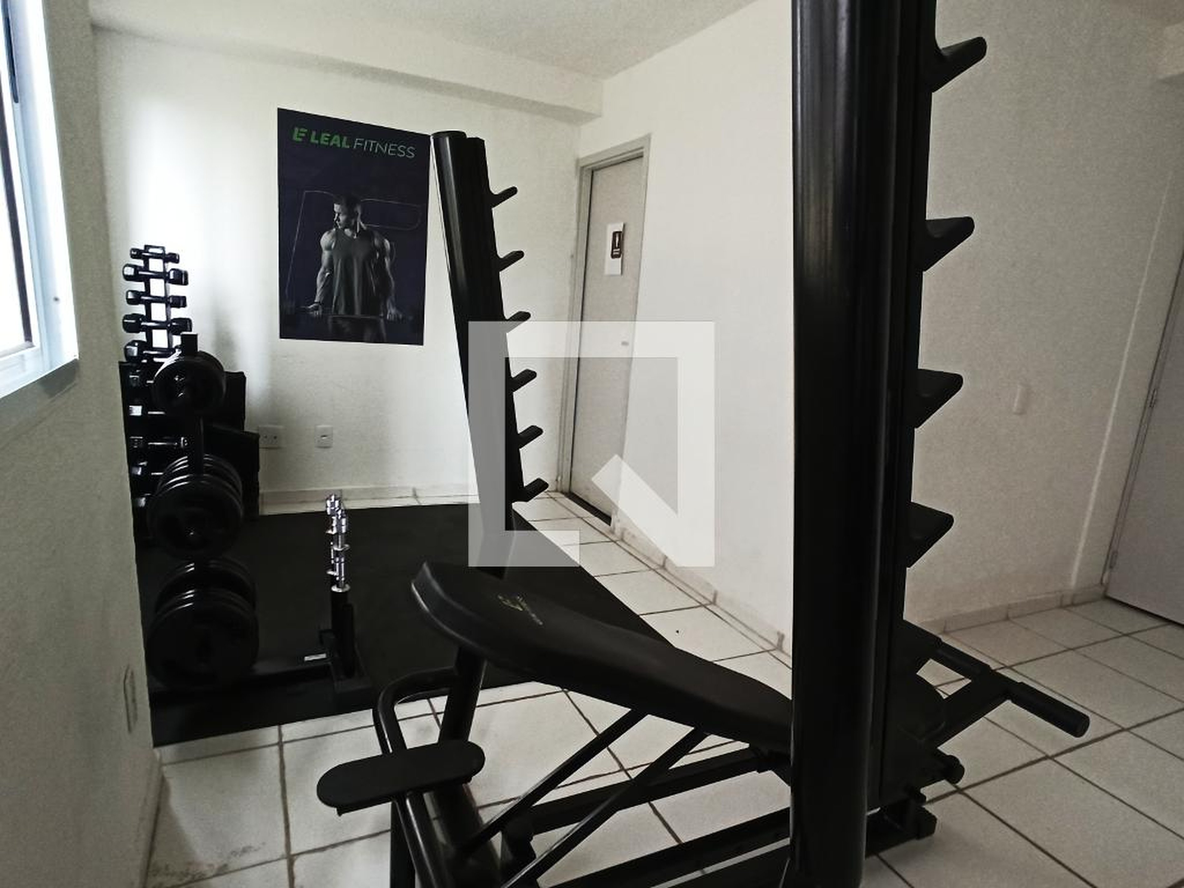 Academia - Viva Limão