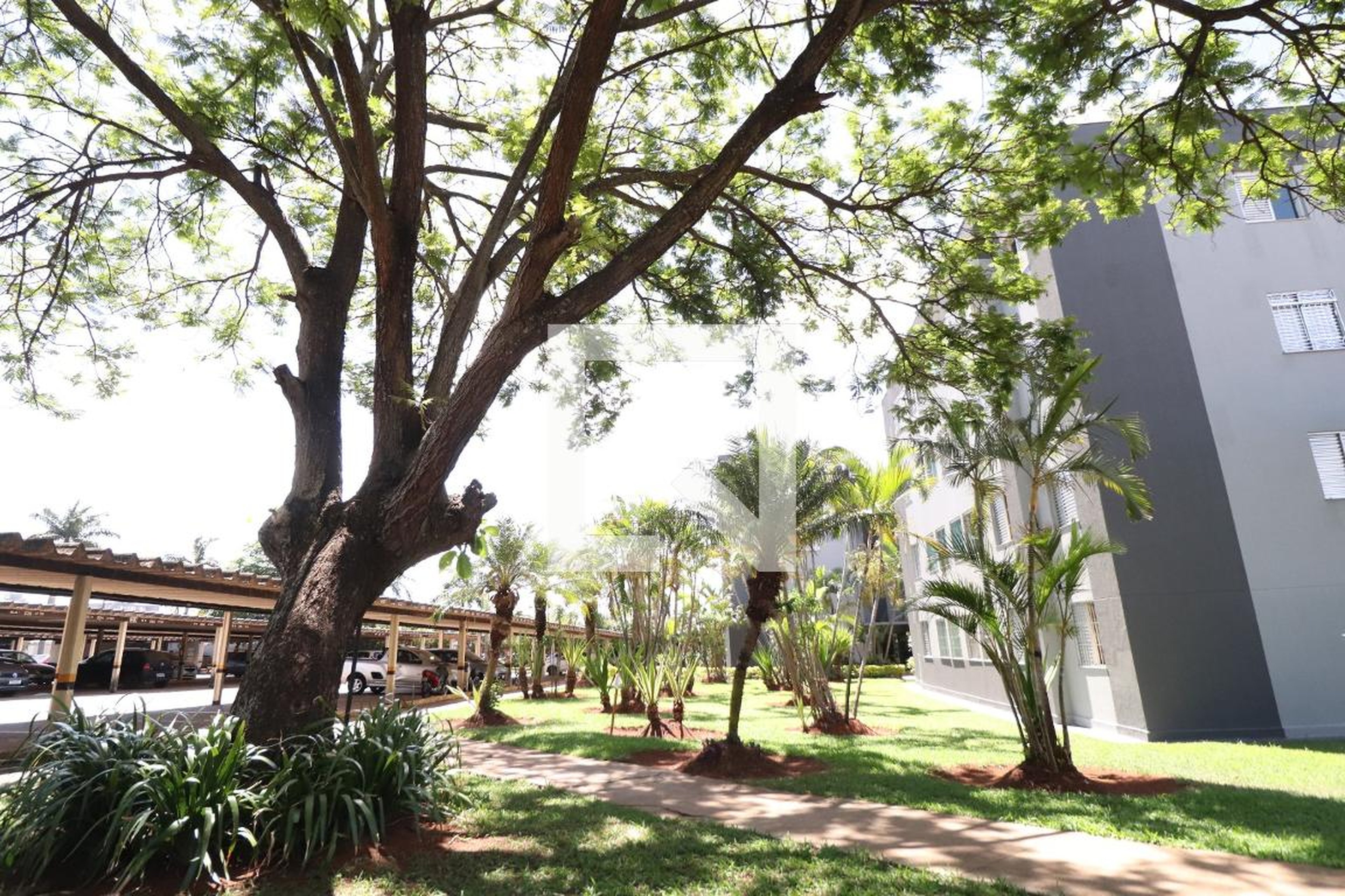 Área comum - Buritis