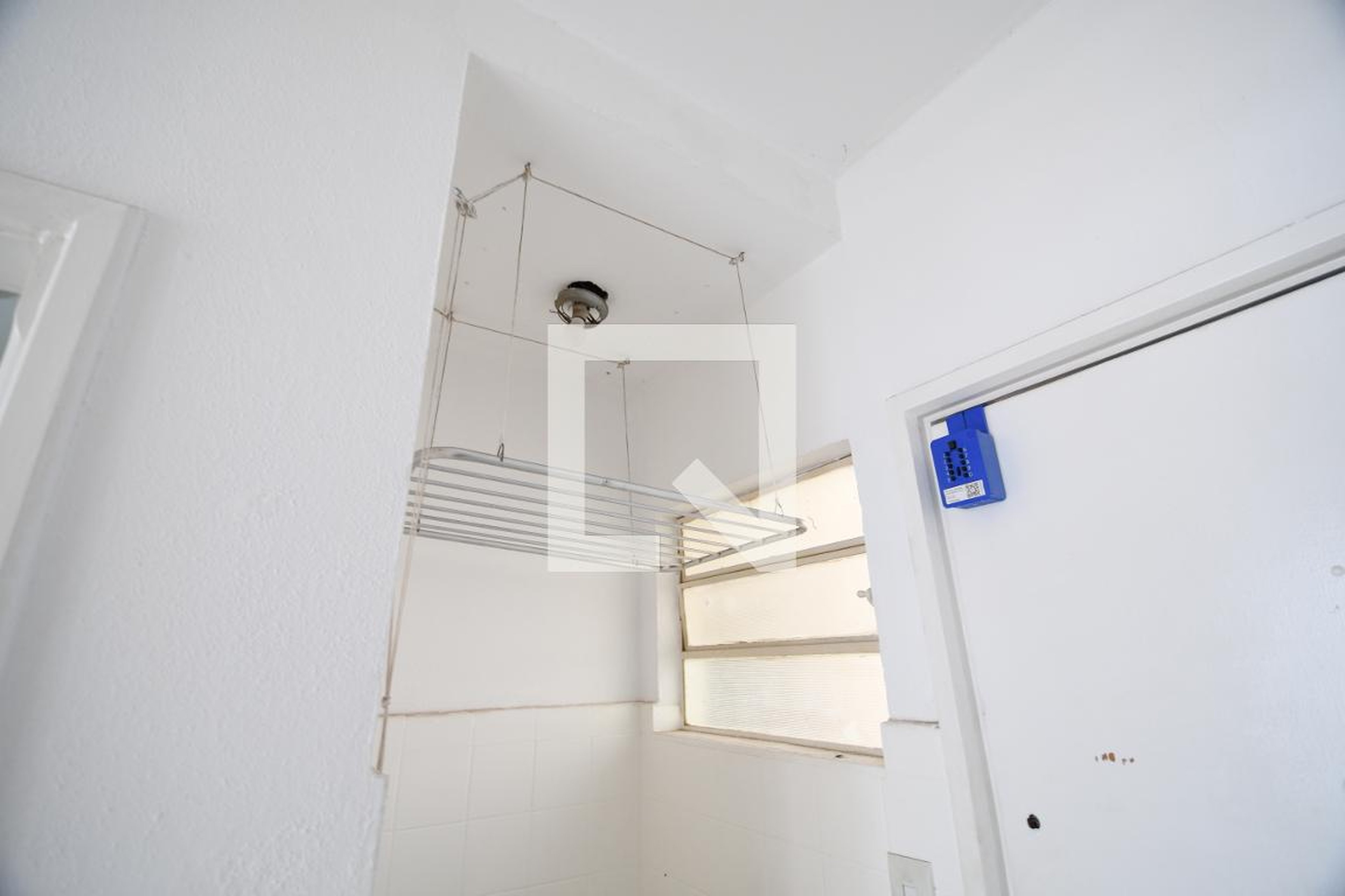 Entrada - Helena Steinberg