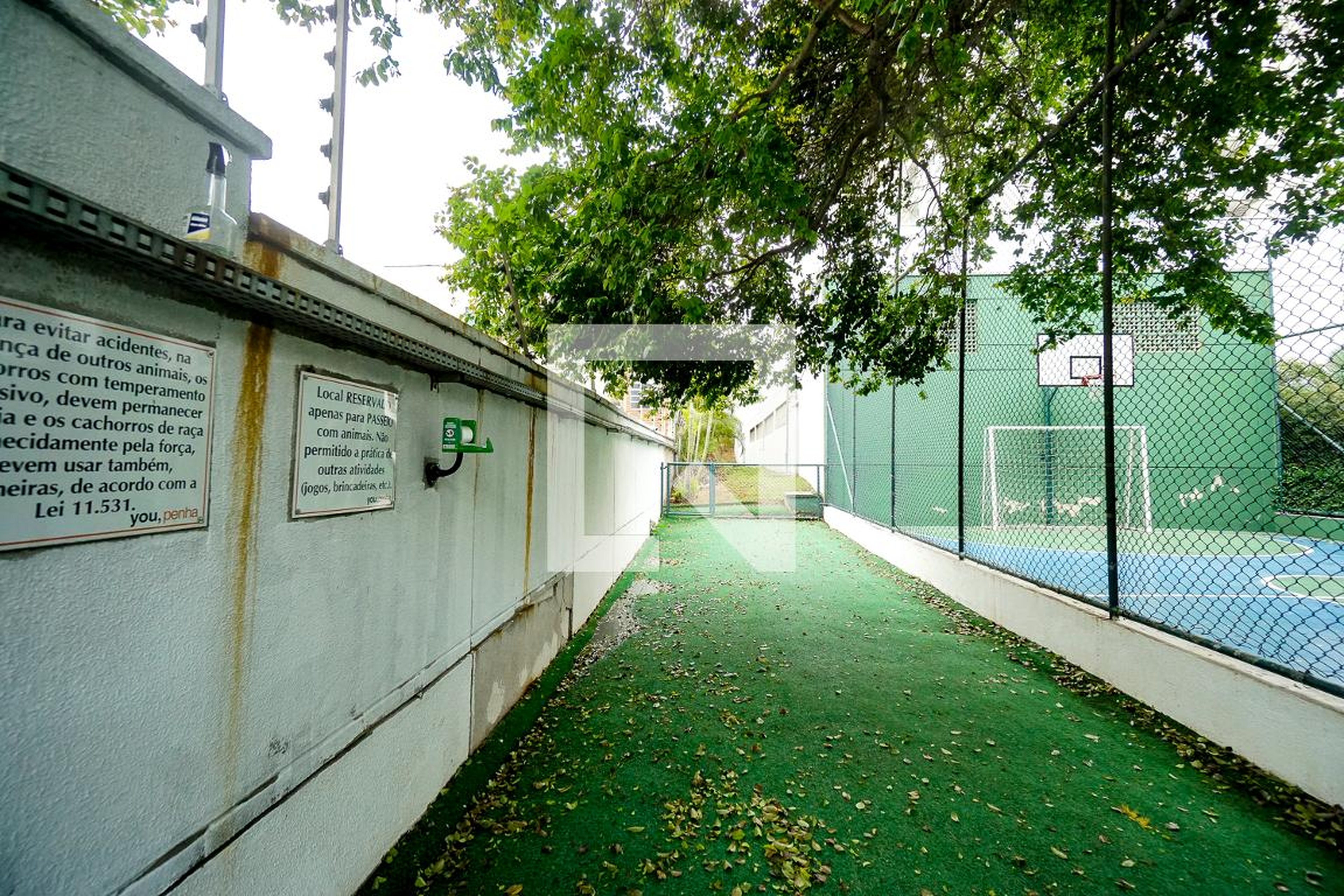 Espaço pet - You Penha