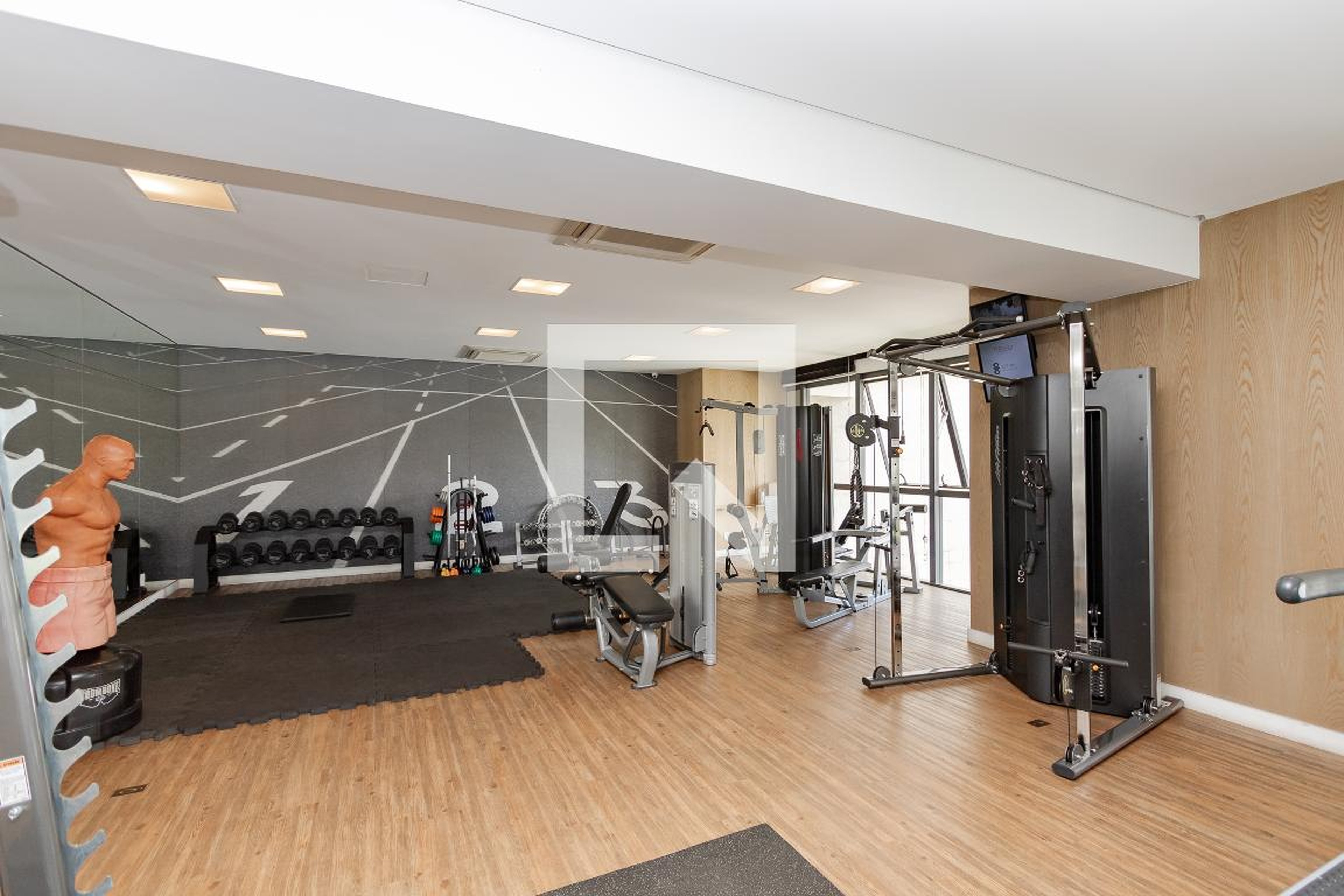 Academia - Geo Berrini