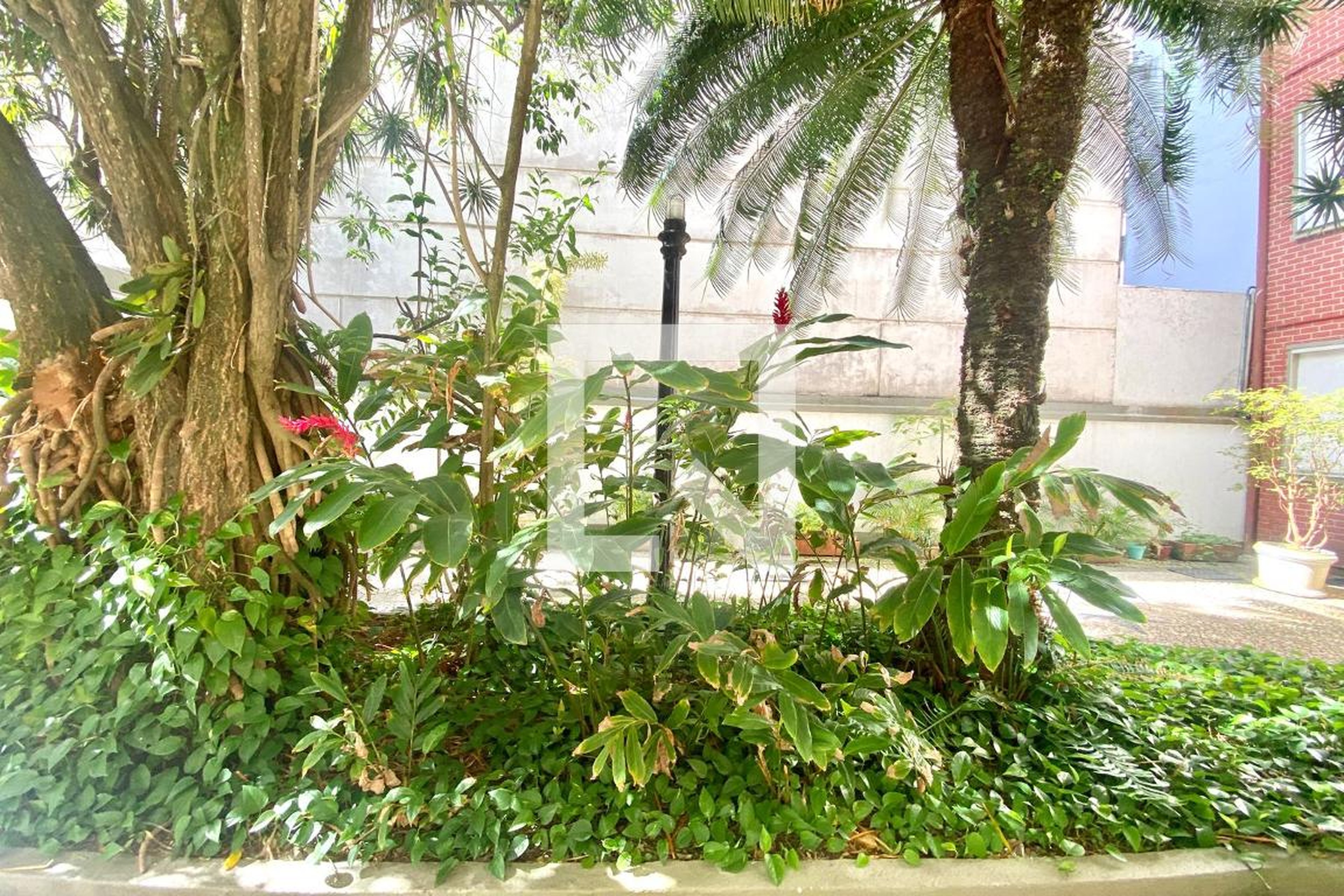 AREA COMUM - Gaivota