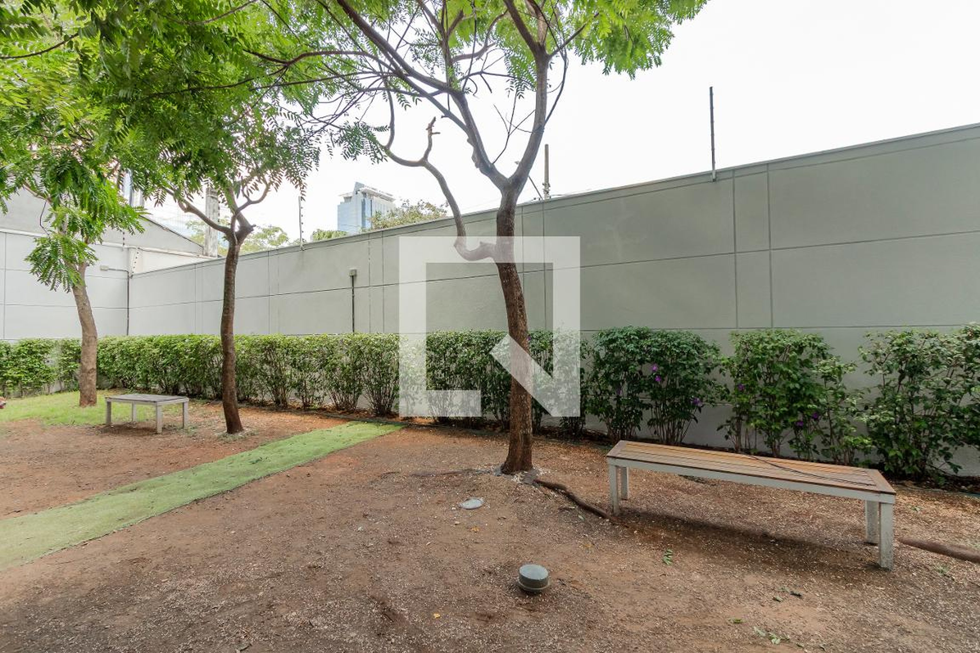 Espaço Pet - Street