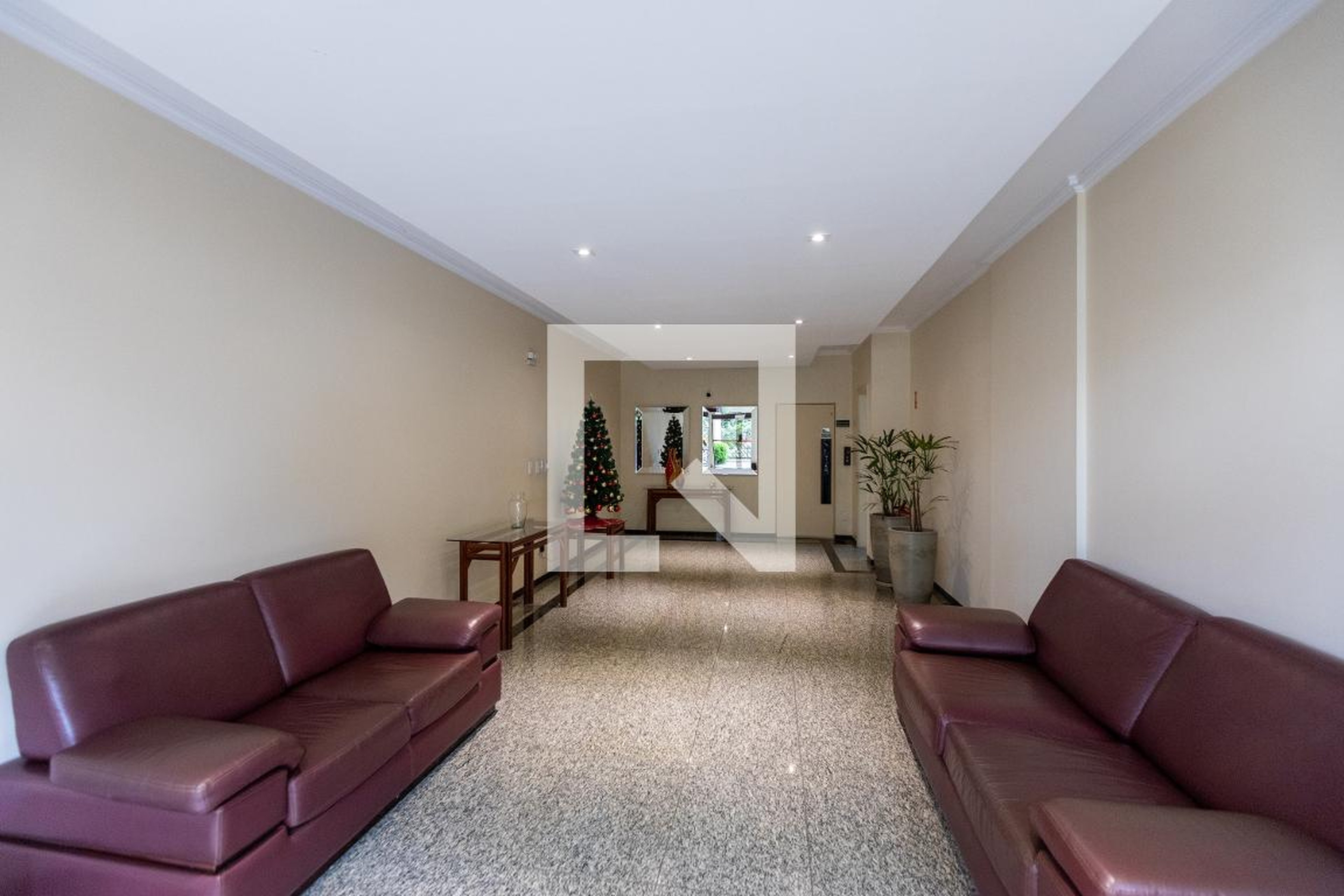 Hall social - Palma de Mallorca