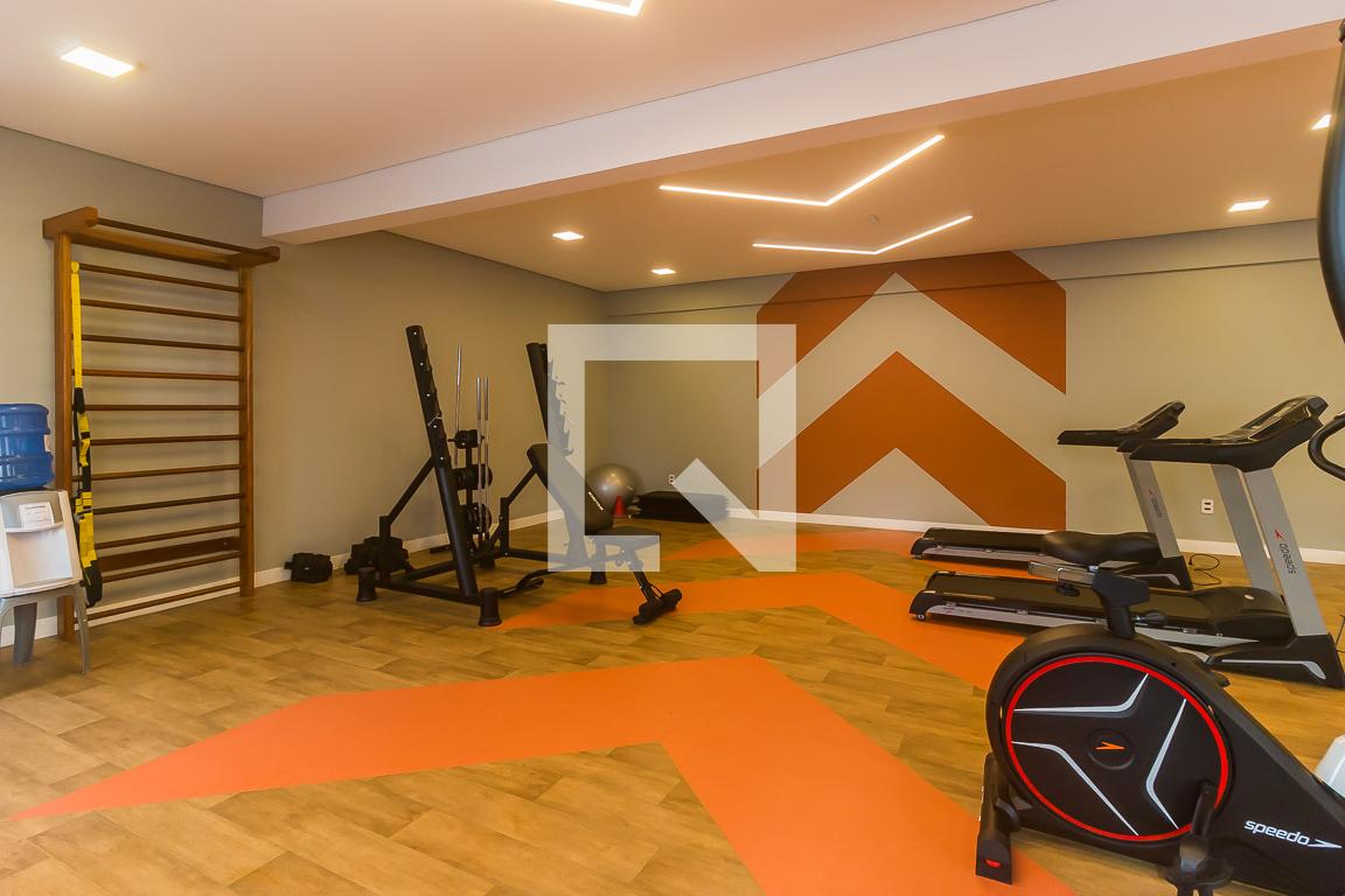 Academia - Happy Braz Cubas