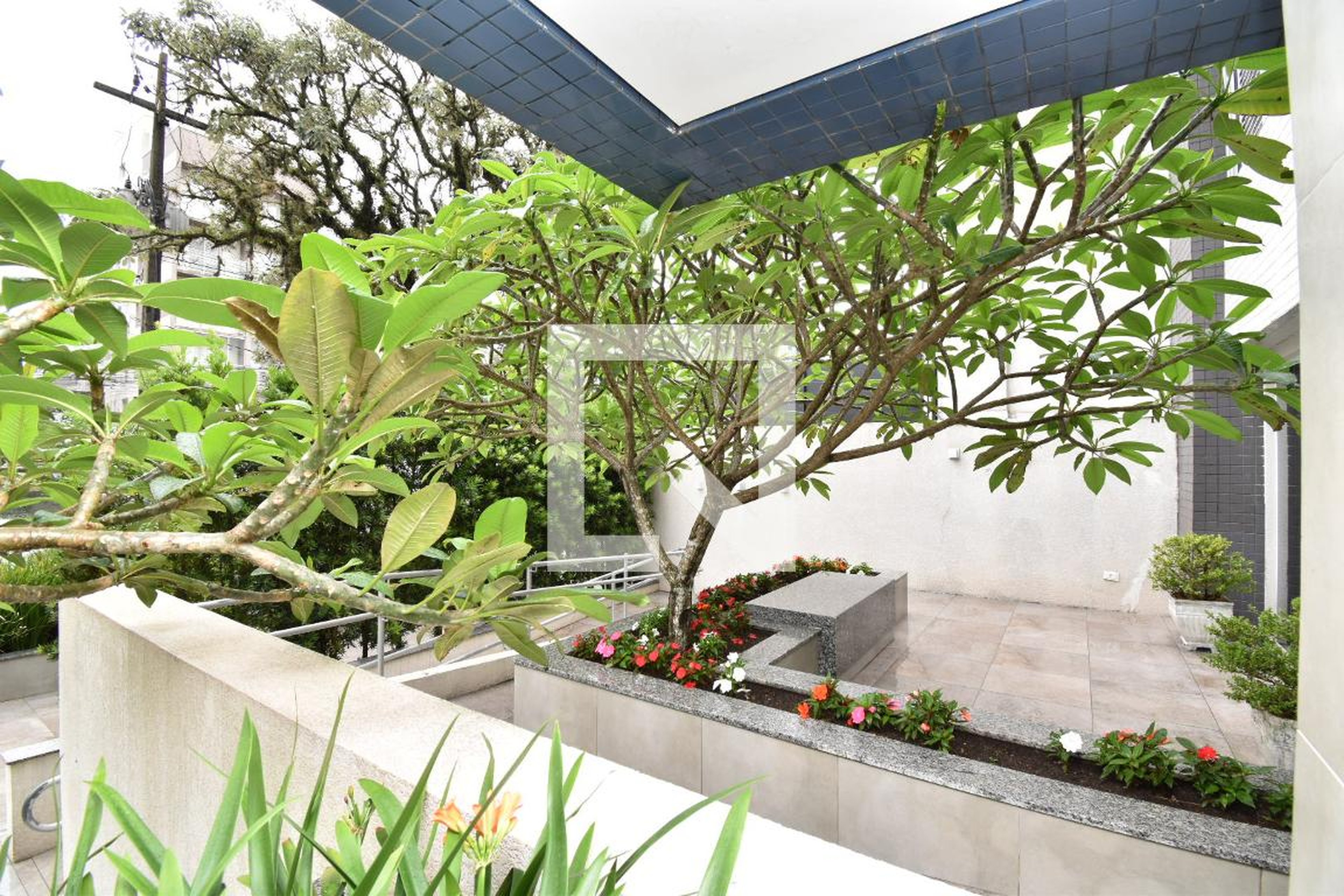 Área comum Condomínio em Rua Martim Afonso, 2986