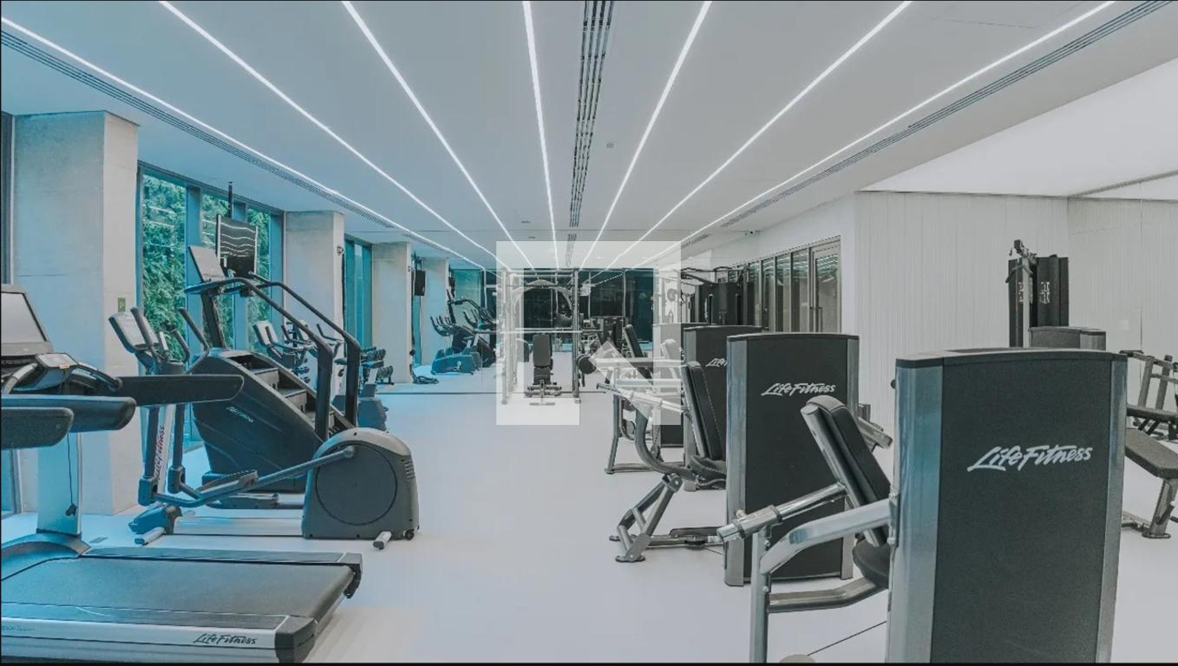 Academia - Oscar Itaim