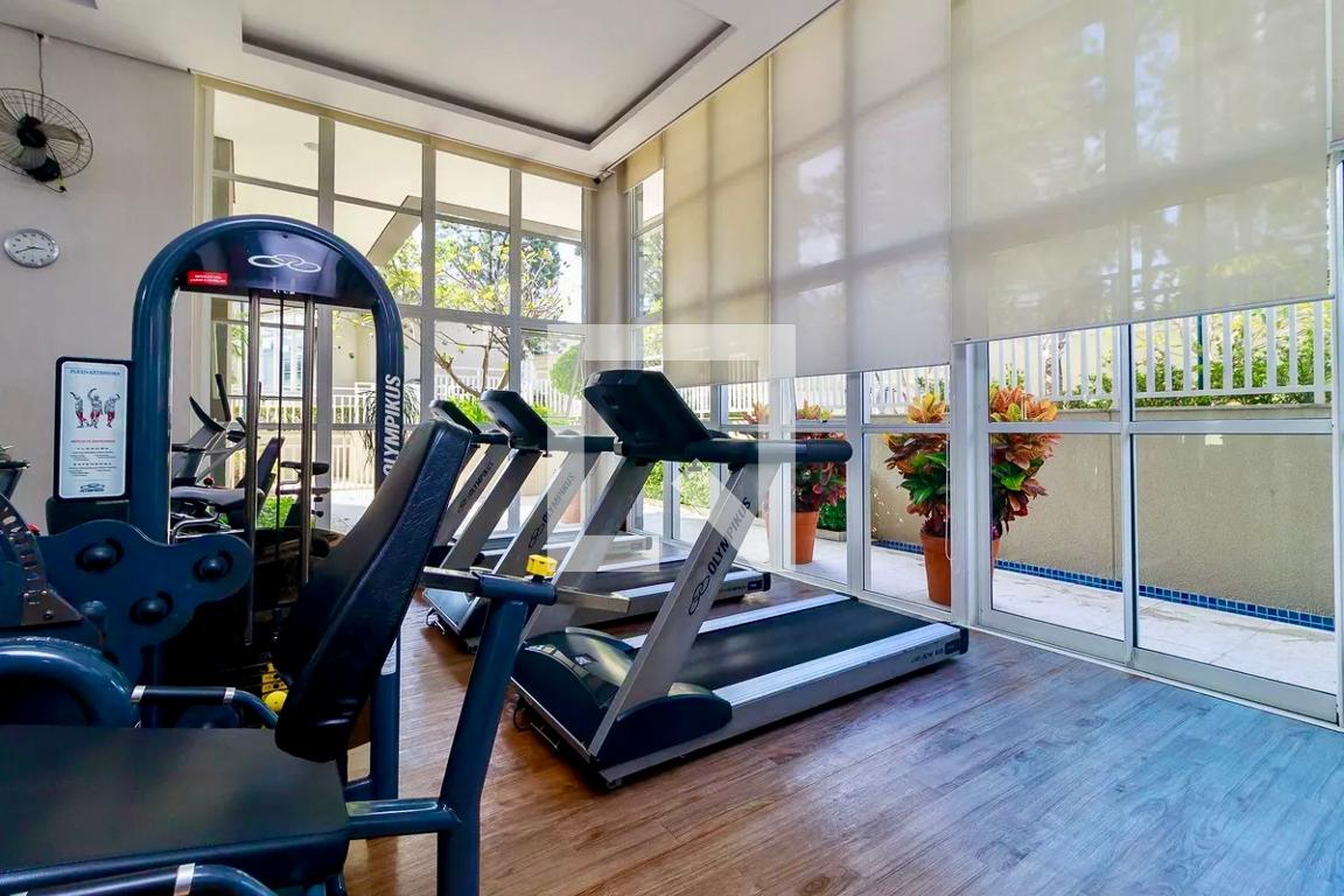 Academia - Near Granja Julieta