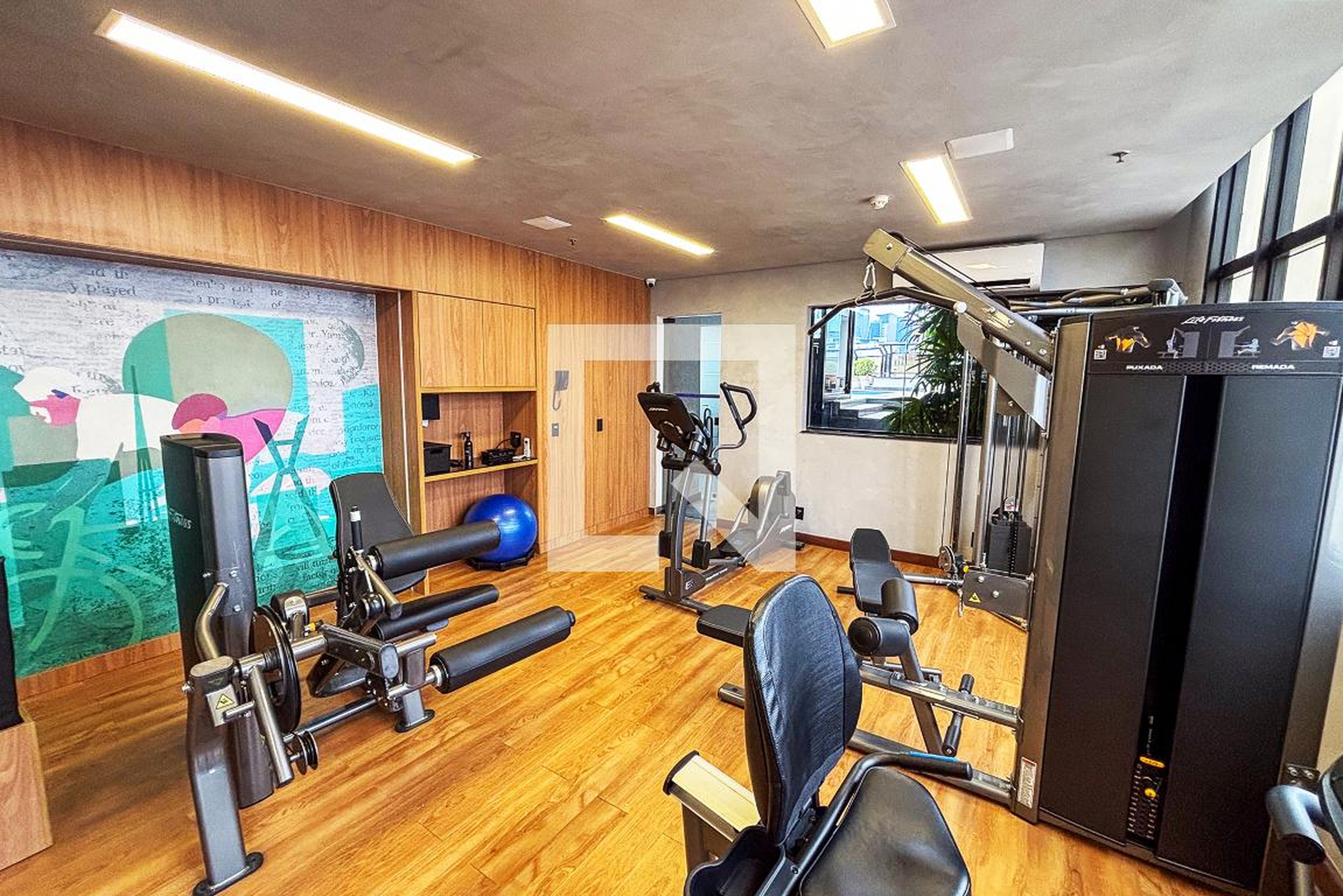 Academia - Century Lorena