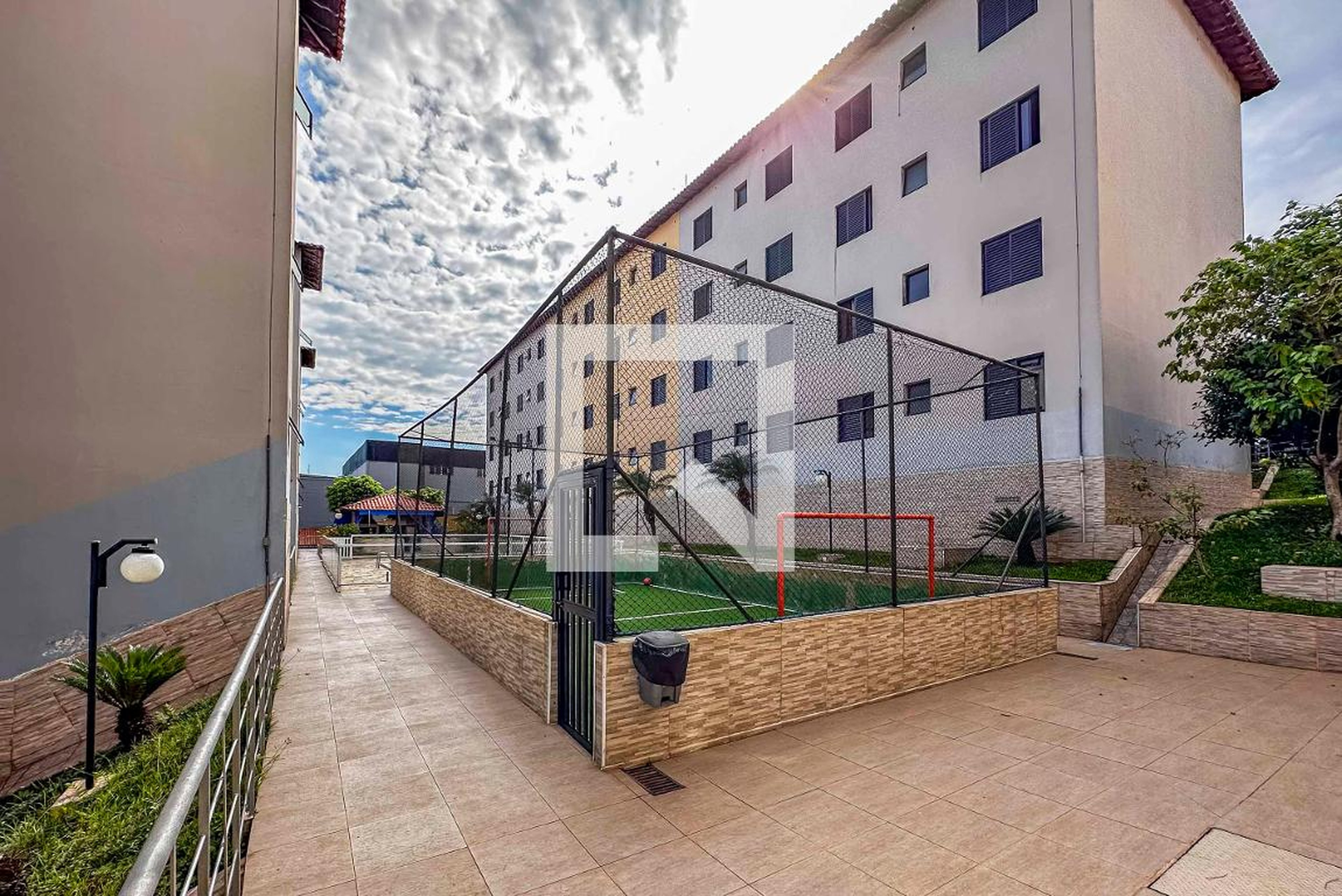 Área comum - Amarilidaceas