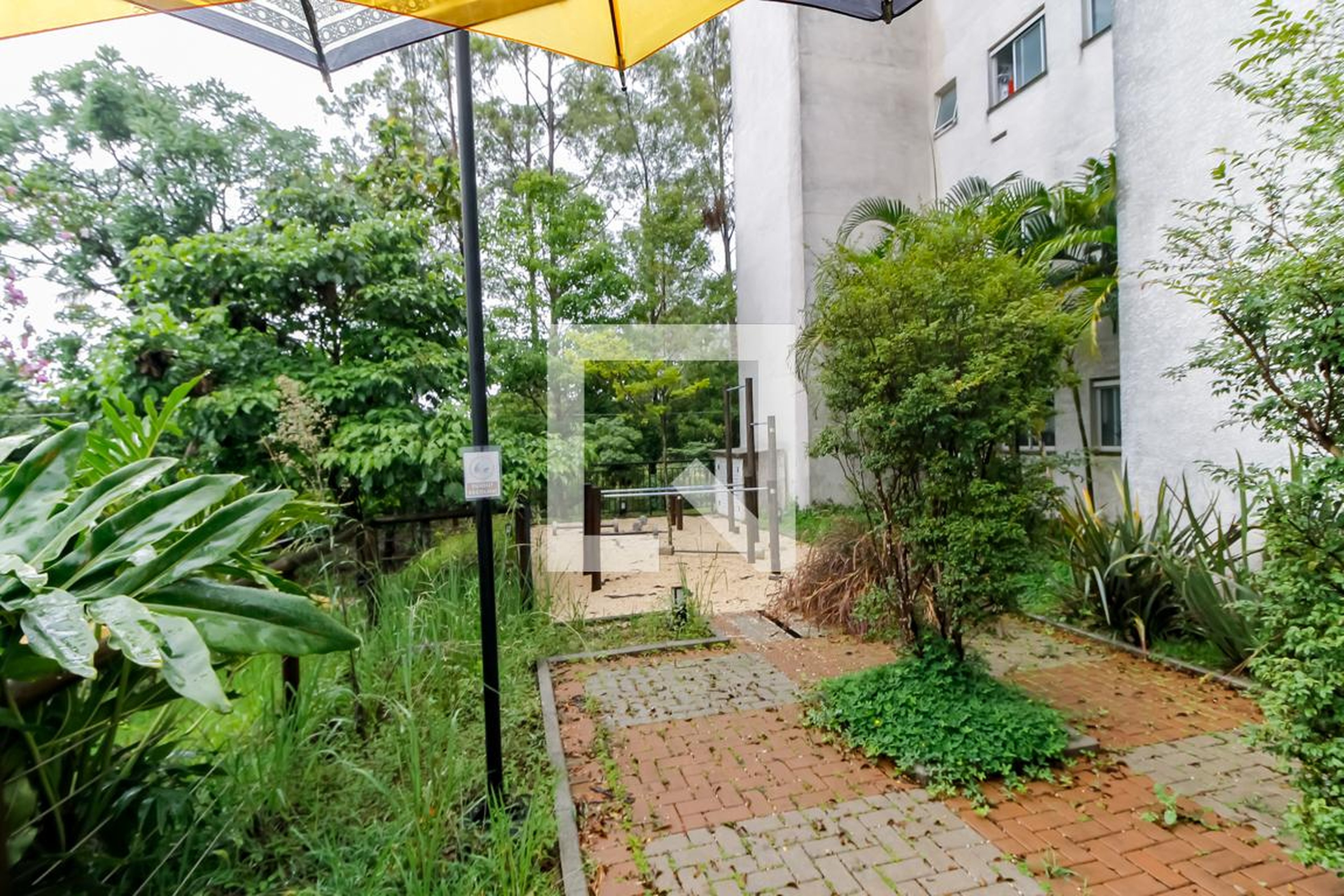 Academia - Vila Arbori Árvores