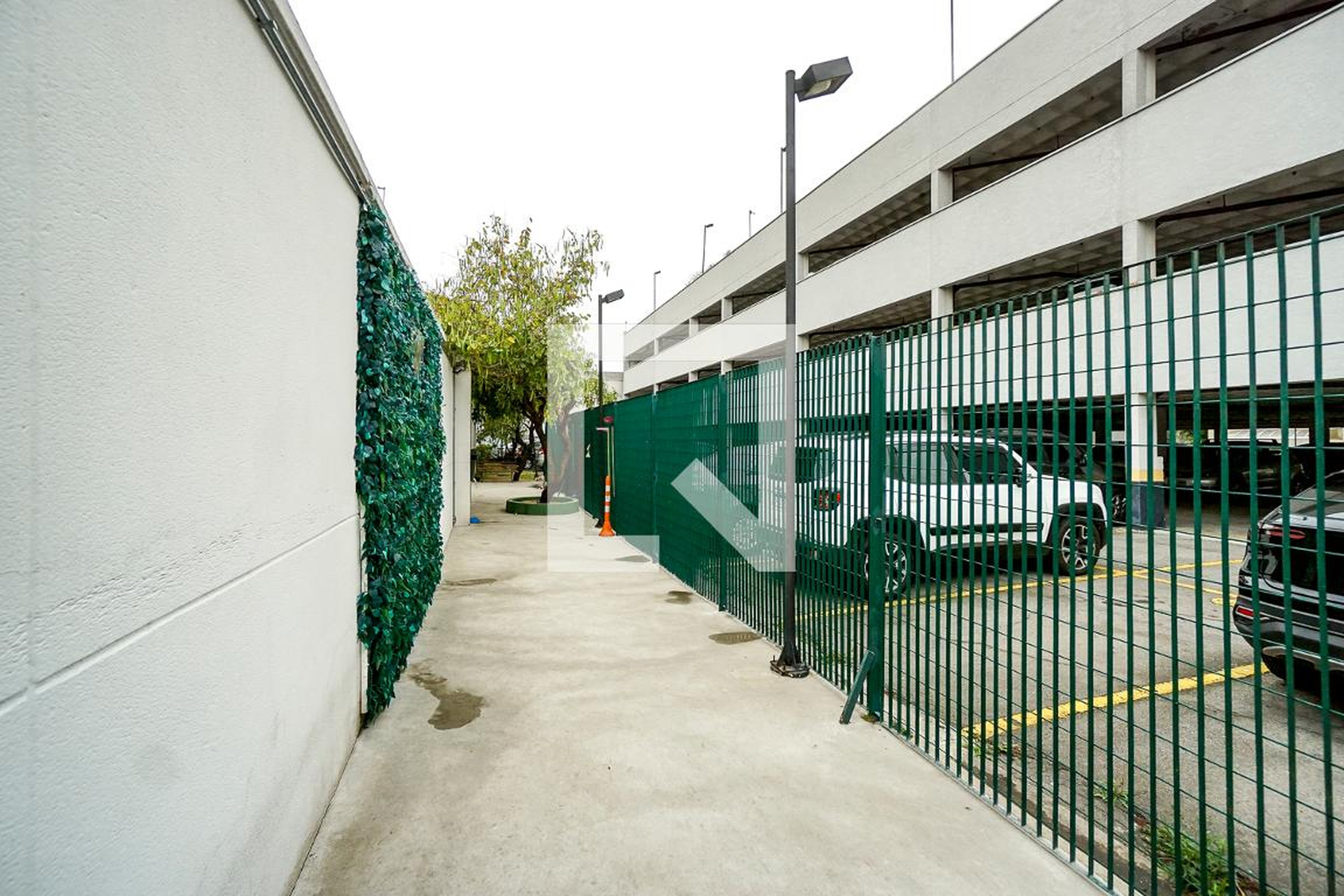 Espaço pet - Spazio Fellicita Tatuapé