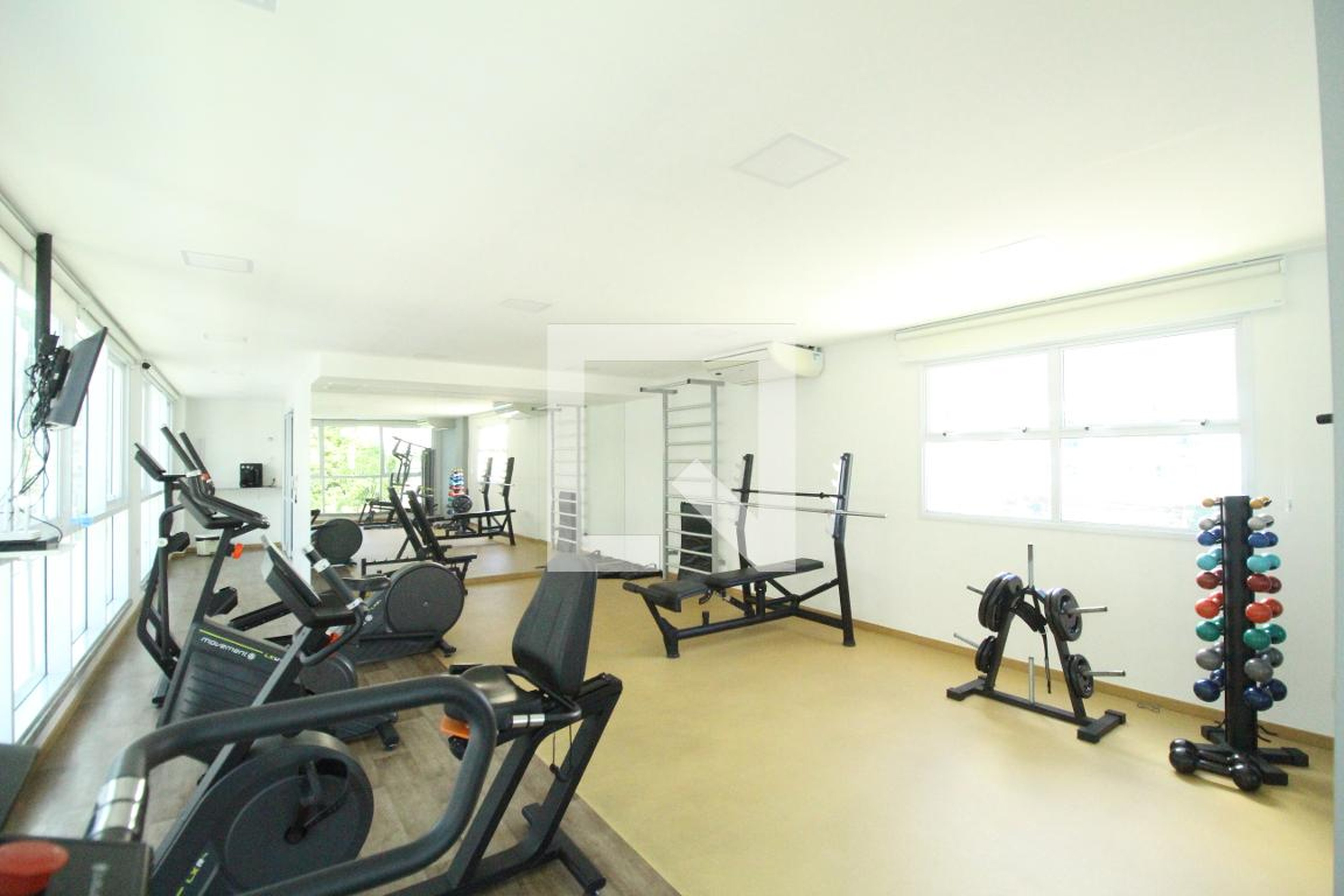 Academia - Bellemont