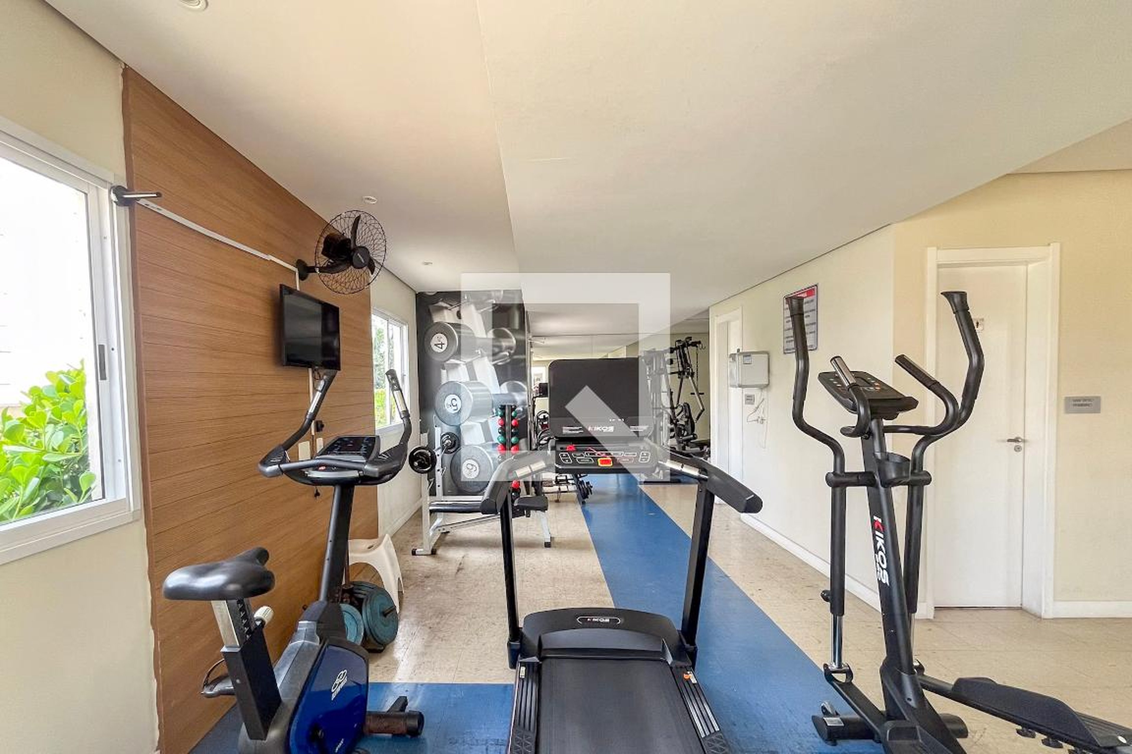 Academia - Fatto Botanico - Hortênsia, Lírio, Camélia