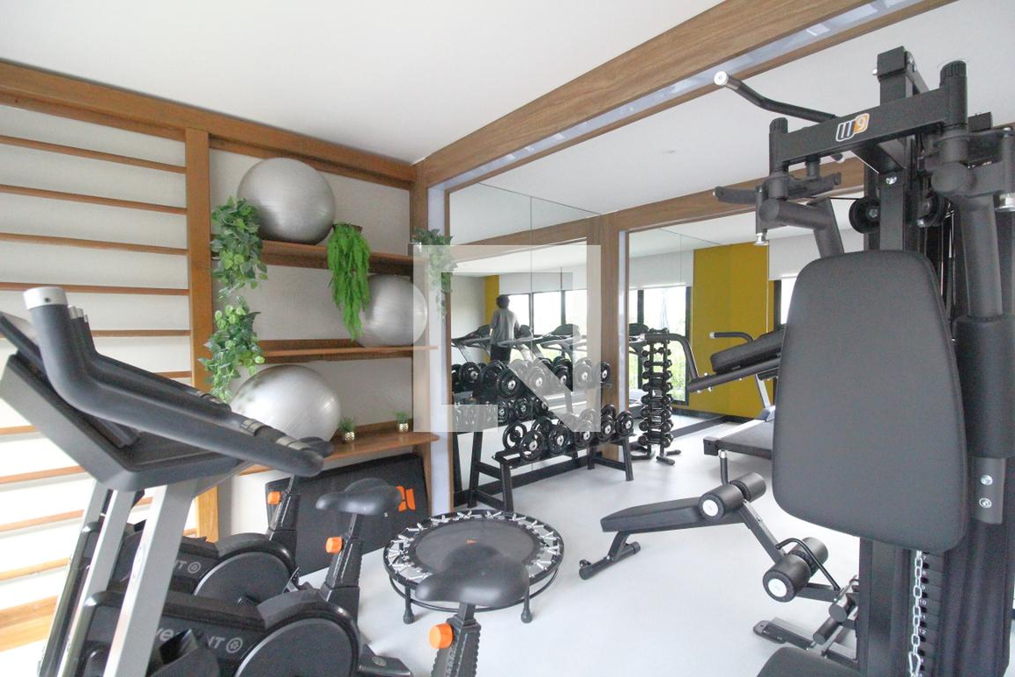 Academia - Living Parque Jardim (Jasmim)