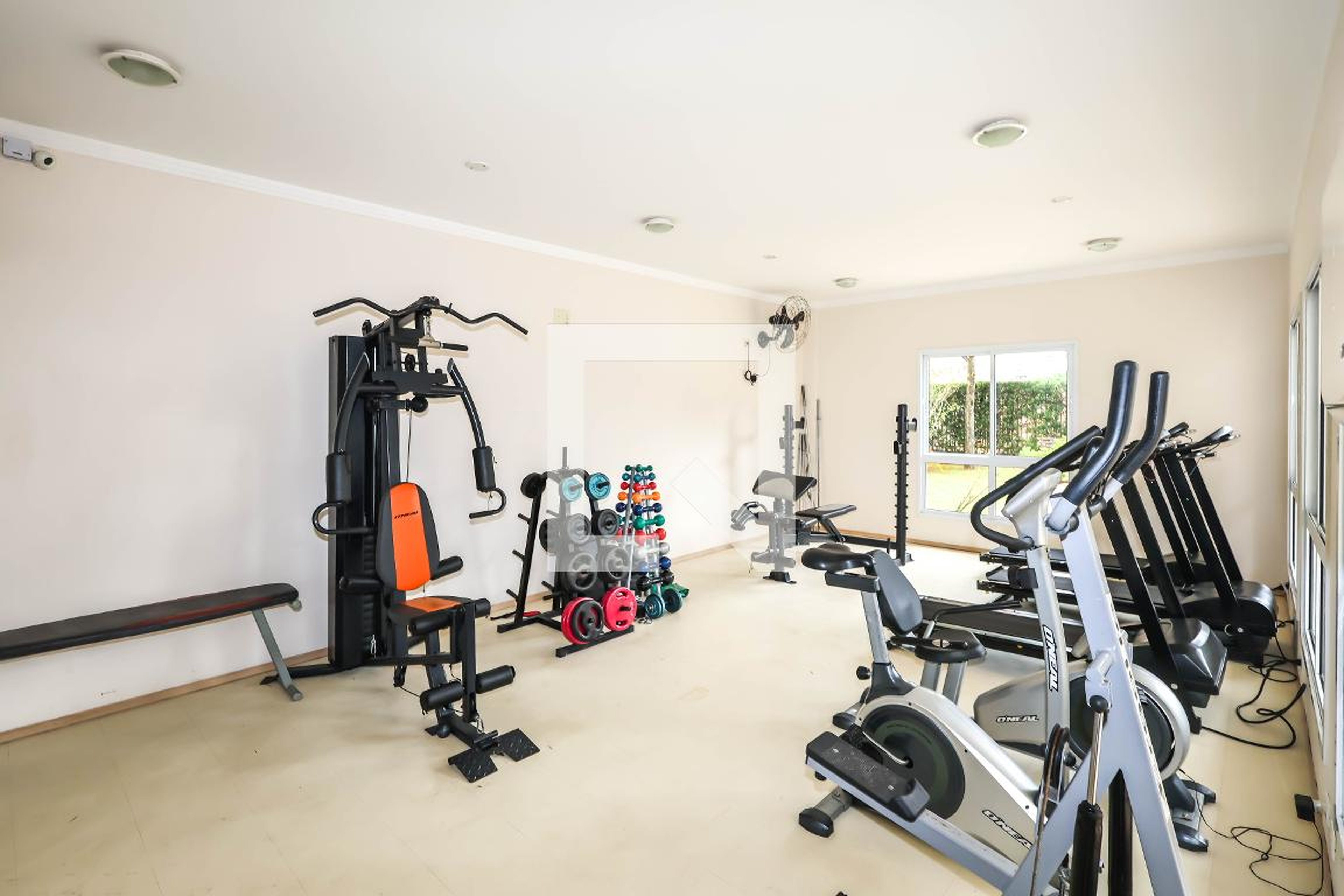 Academia - Verona Tropical