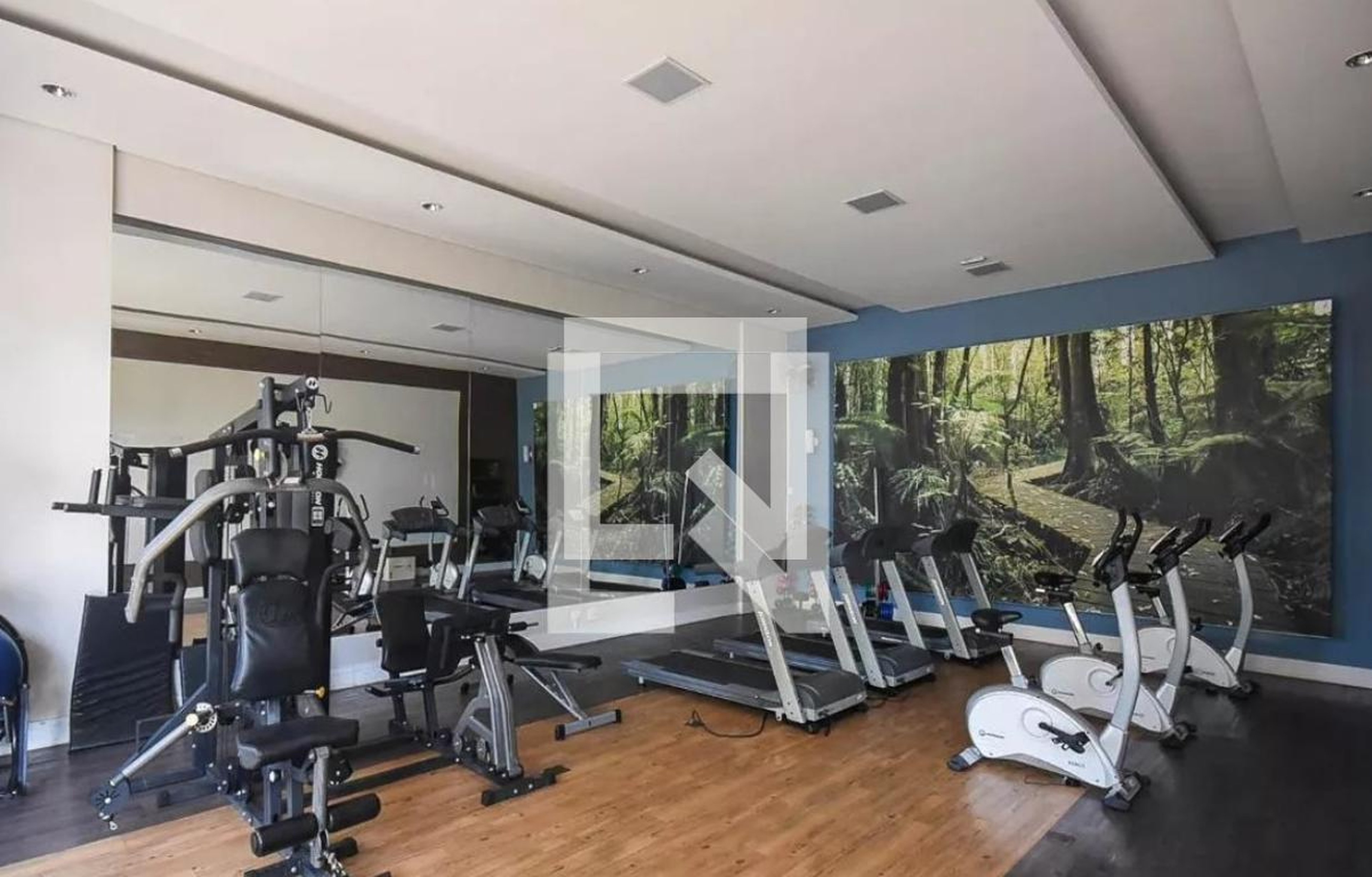 Academia - Perfil Morumbi