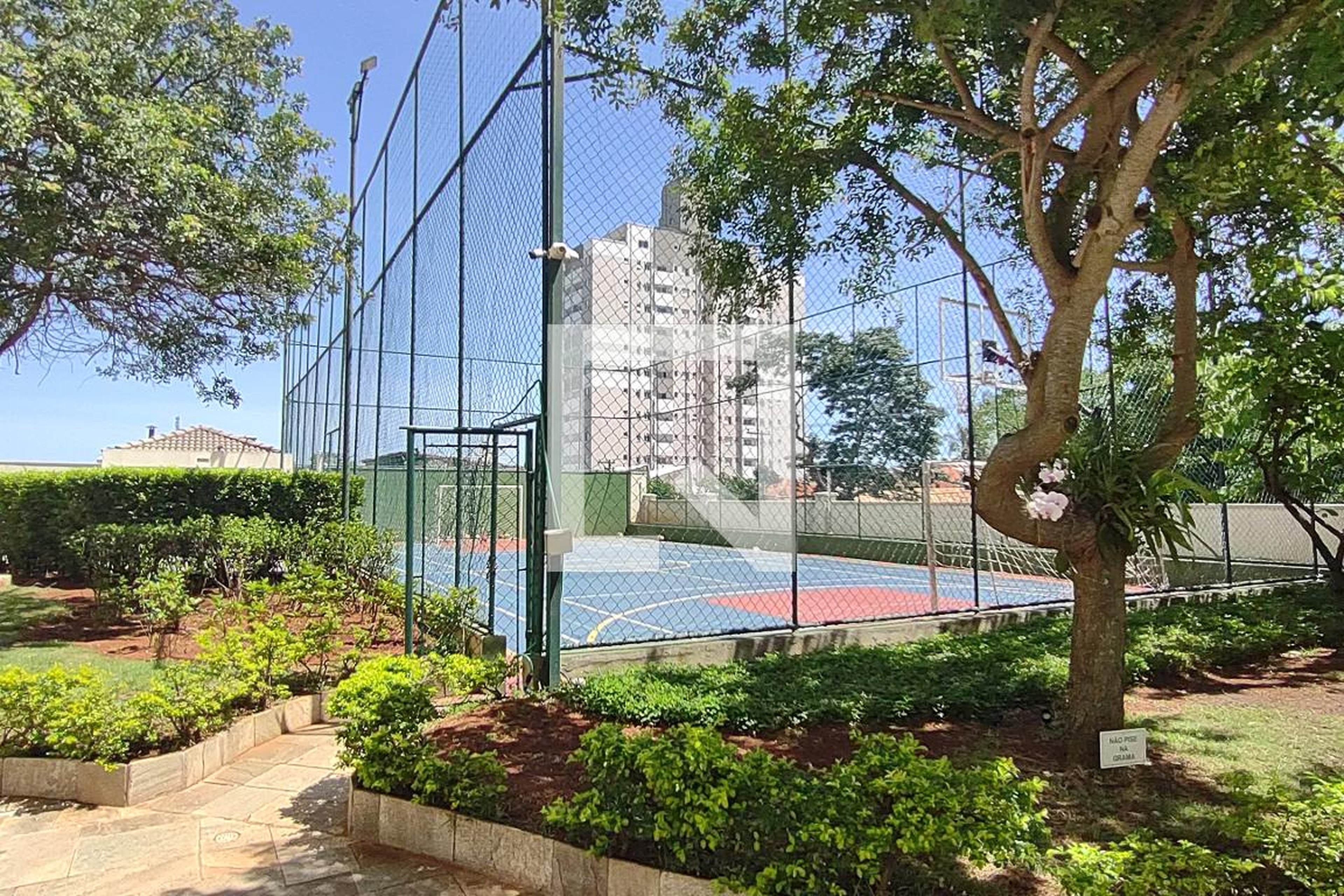 Quadra Esportiva - Alegre Gran