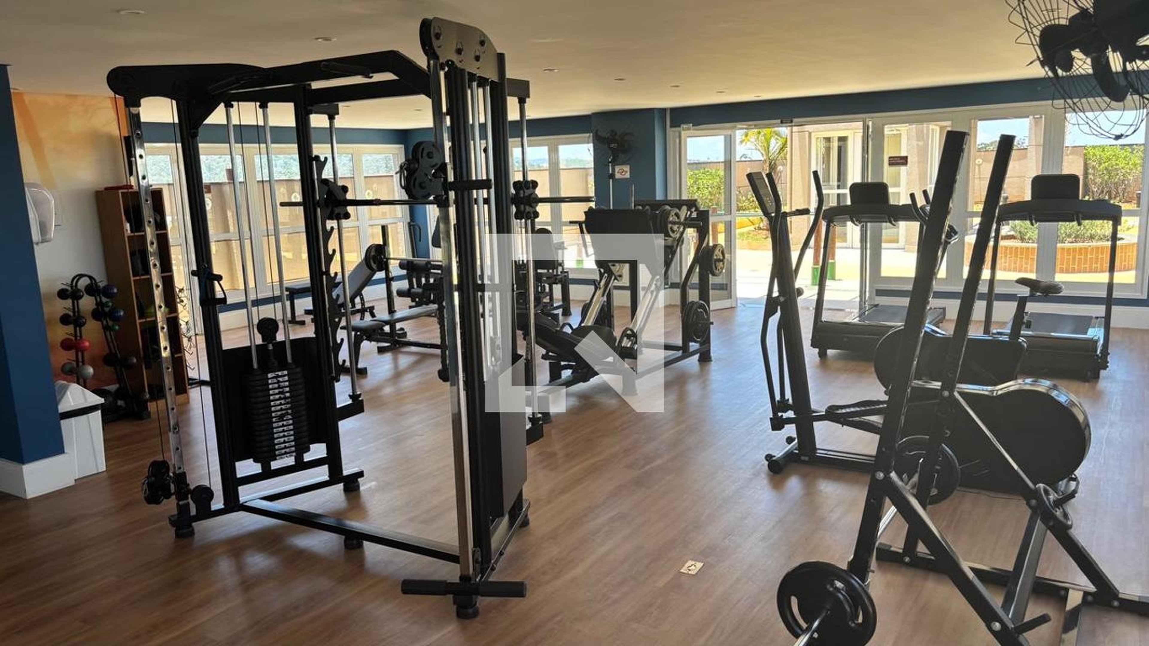 Academia - Bellini Alphaville