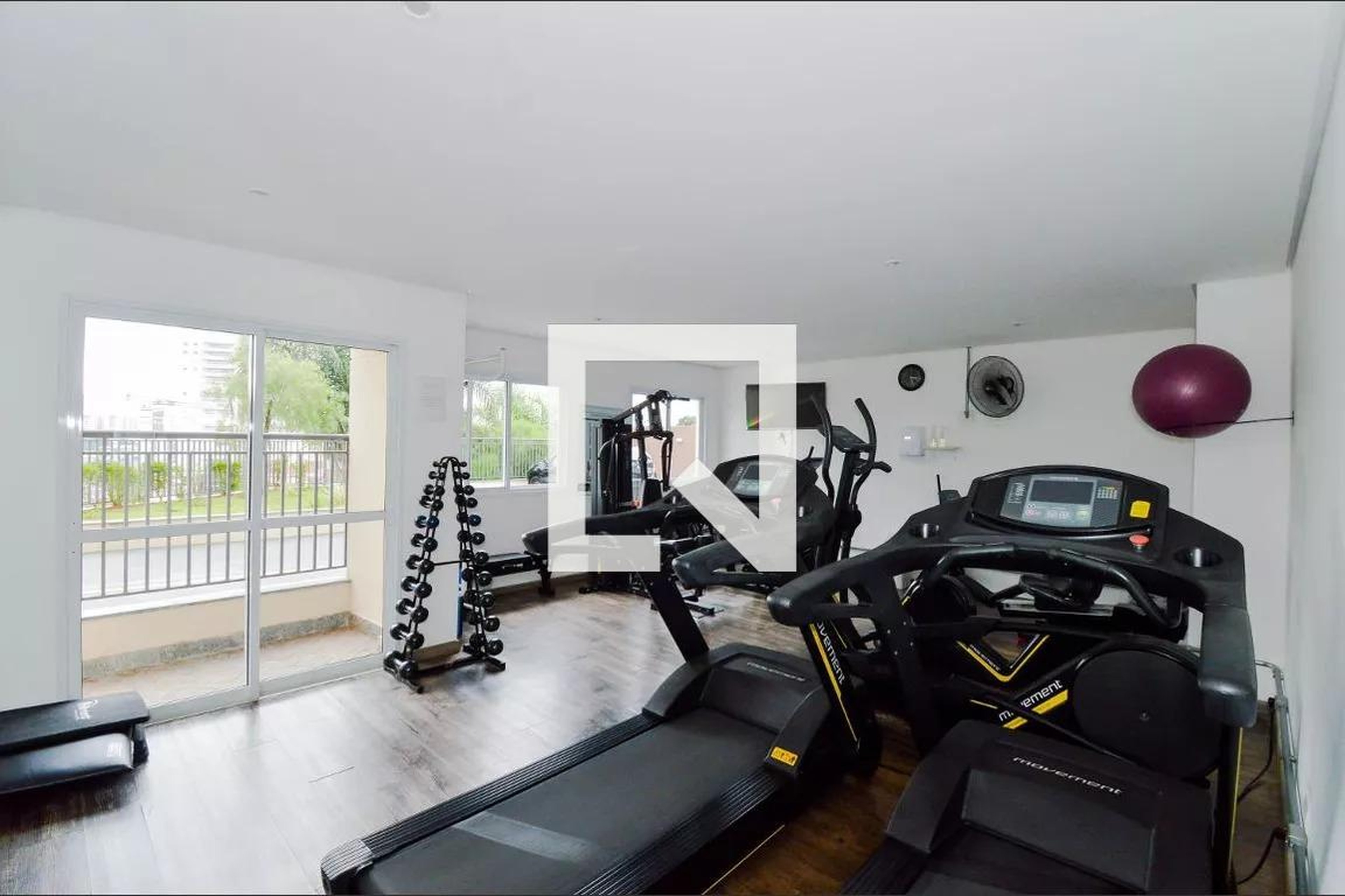 Academia - The Colors