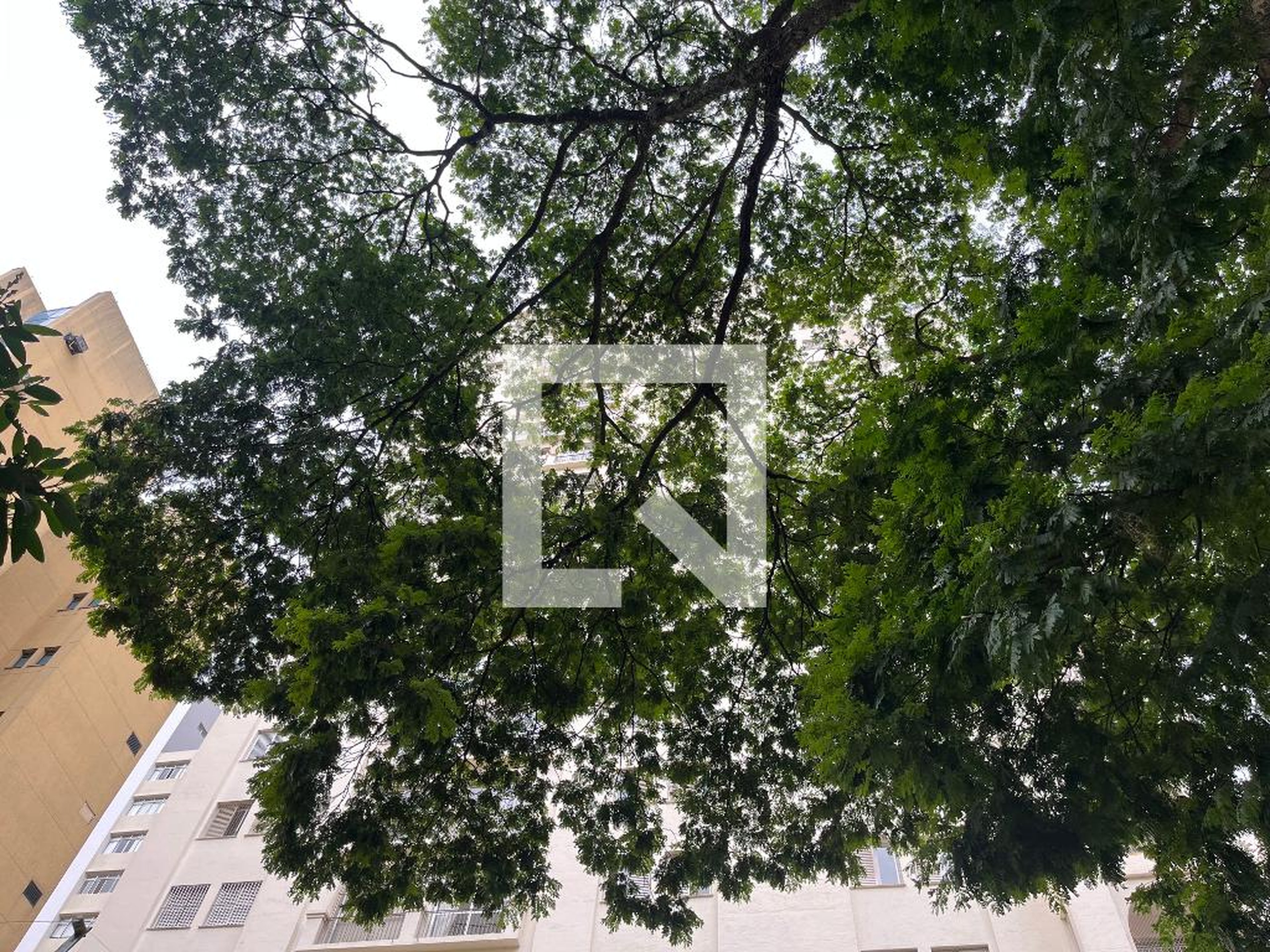 Fachada do Prédio Edifício Versailles Louvre