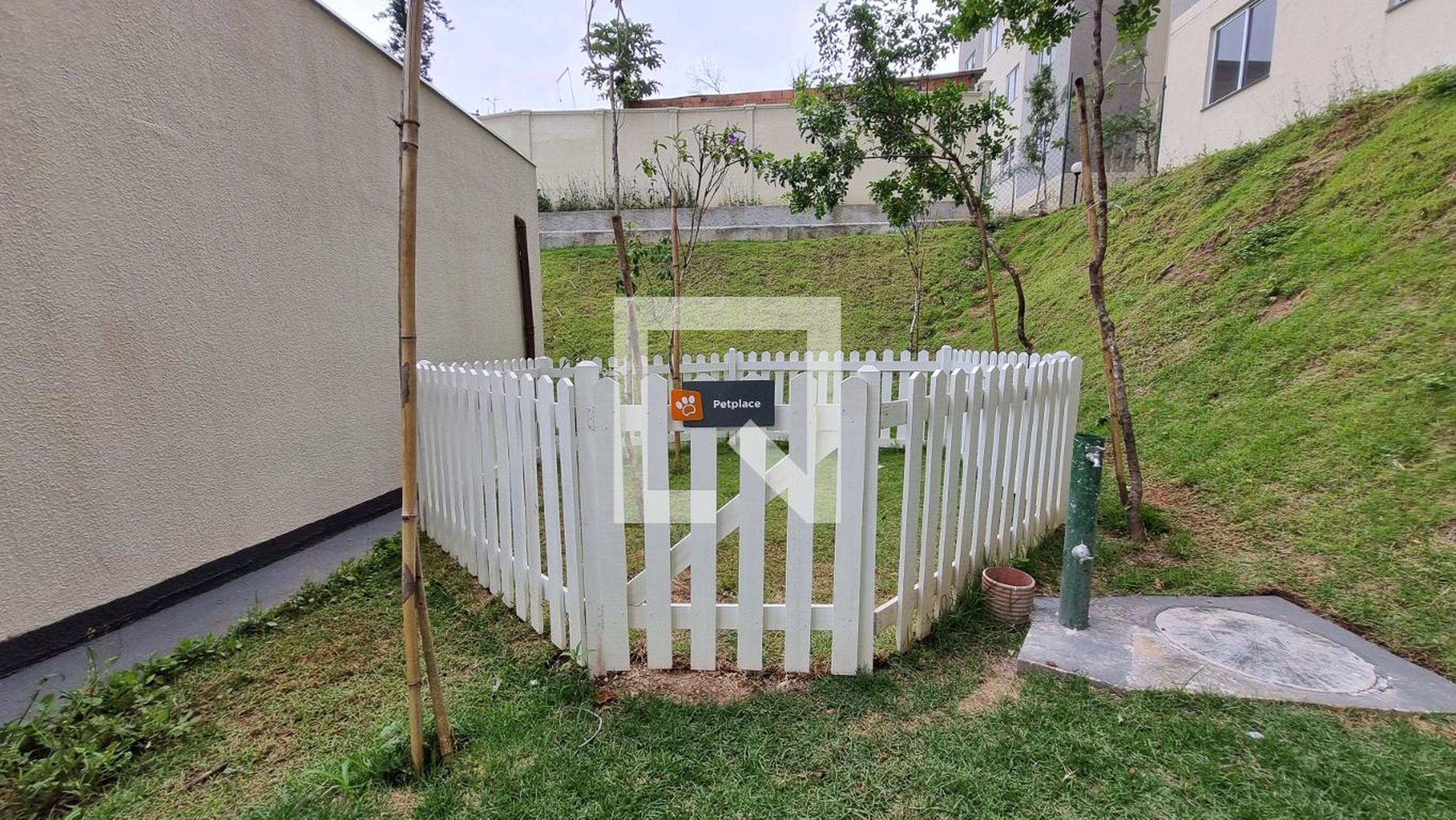 espaço  pet - San Noah