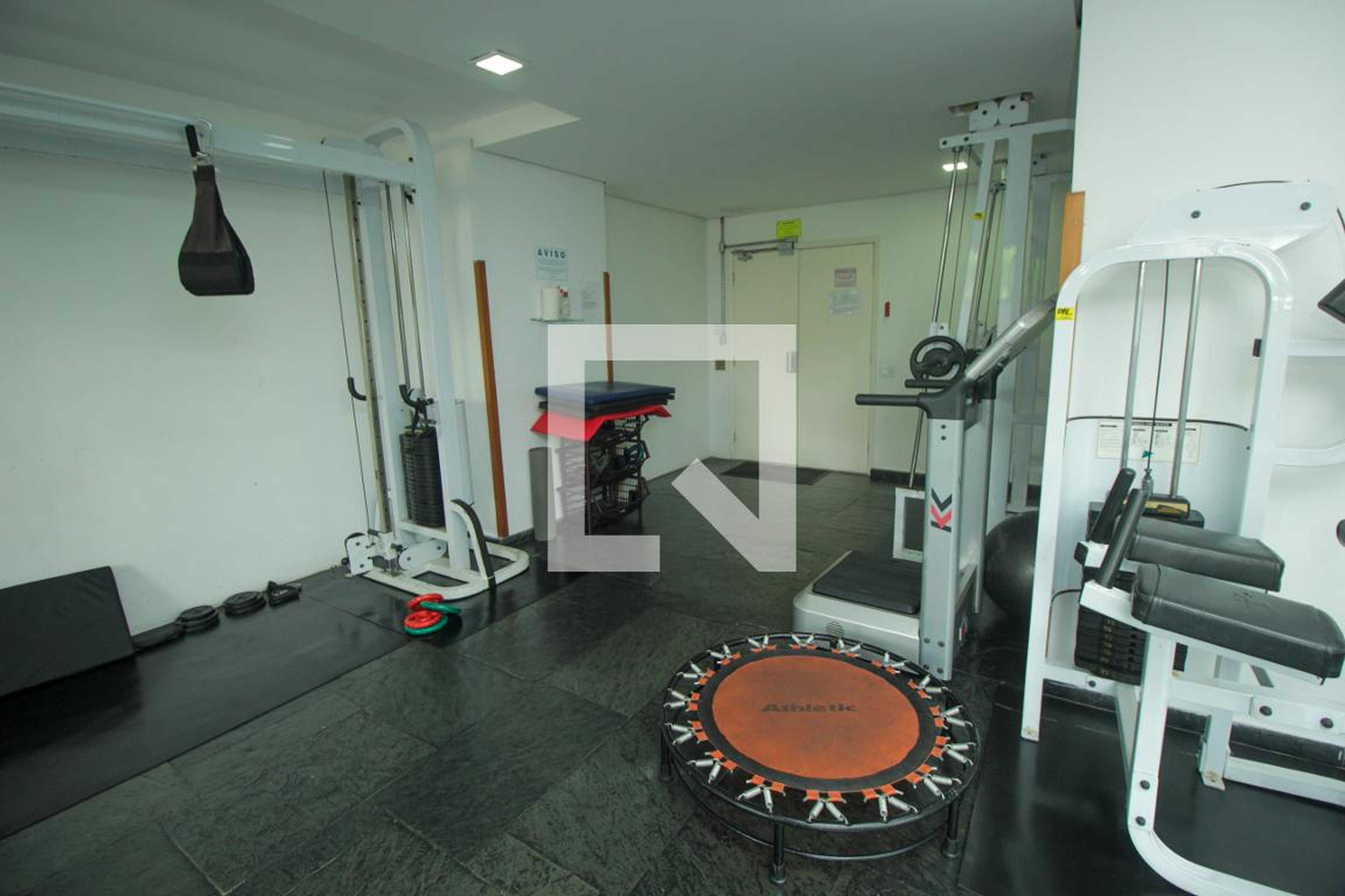 Academia - Viareggio