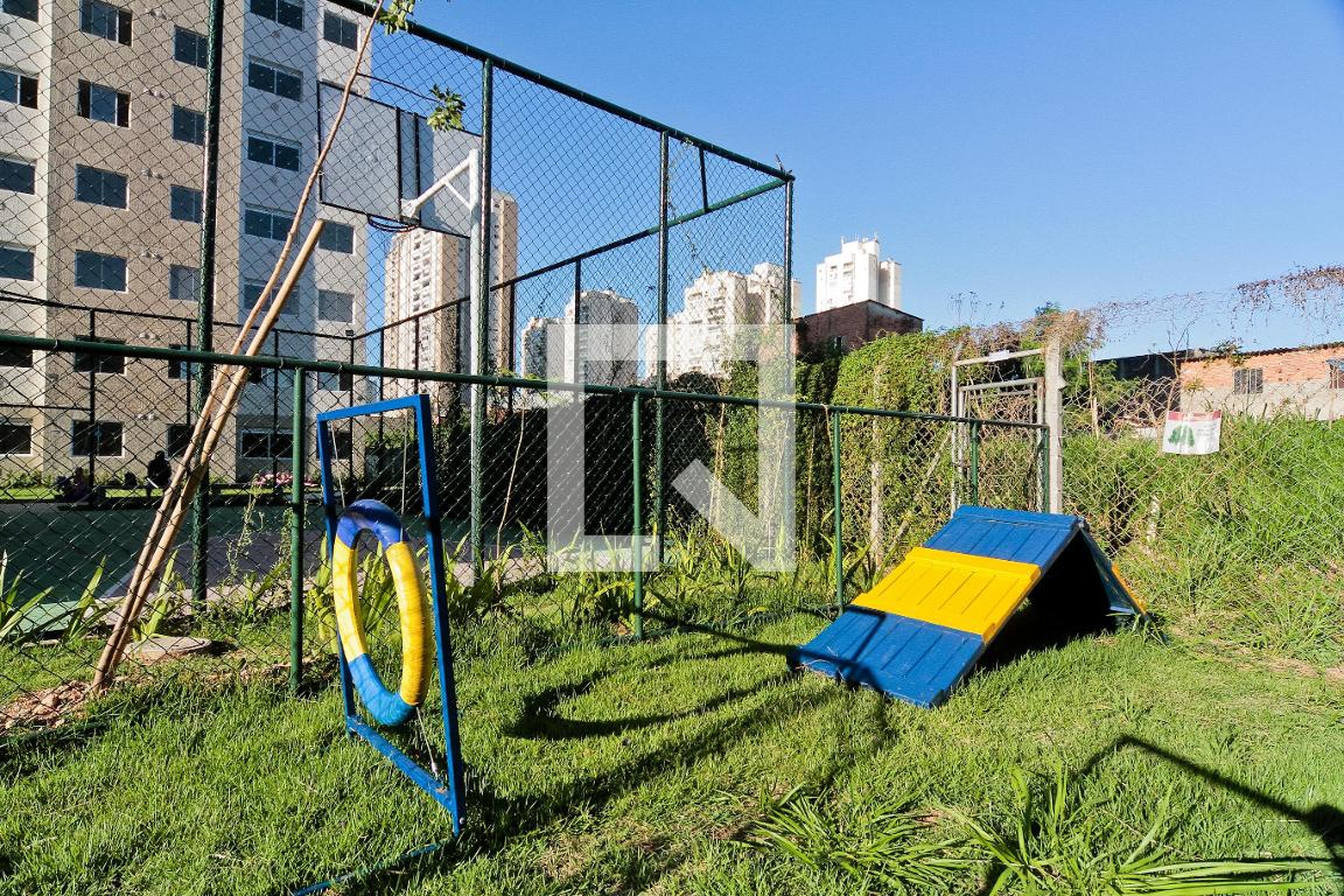 Espaço pet - Viva Limão