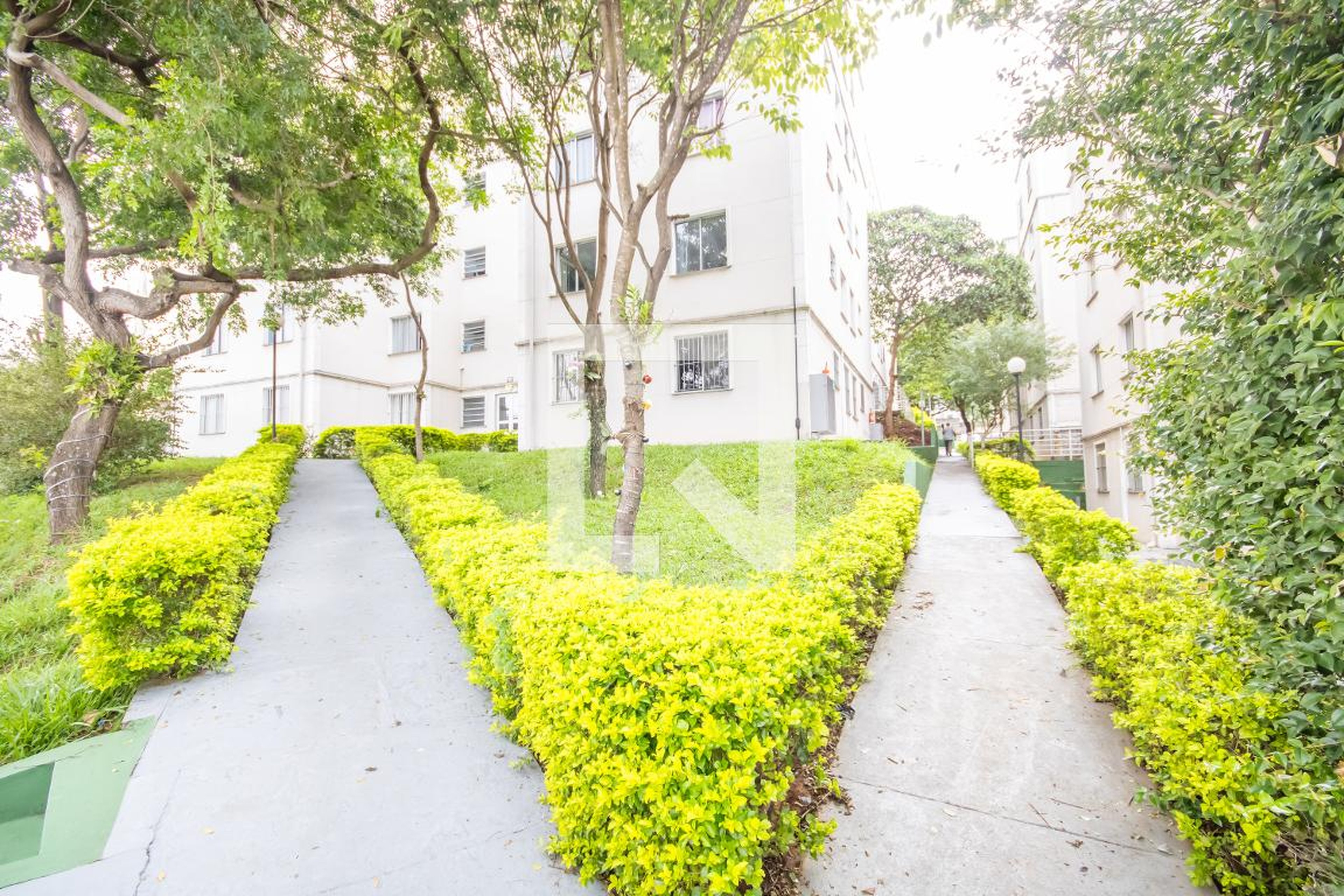 Área comum - Salvador Dali