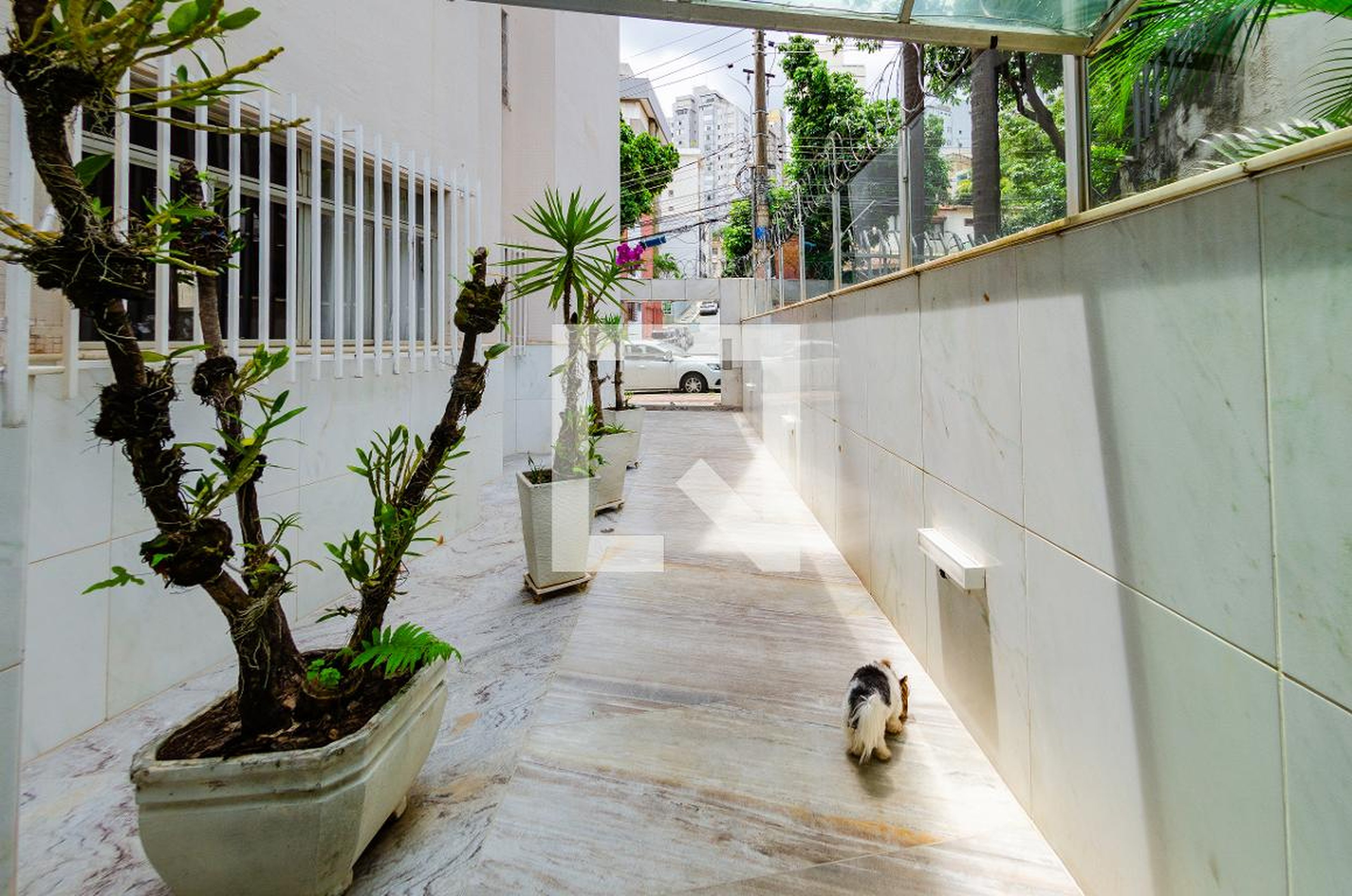 Área comum - Cláudia Caetano