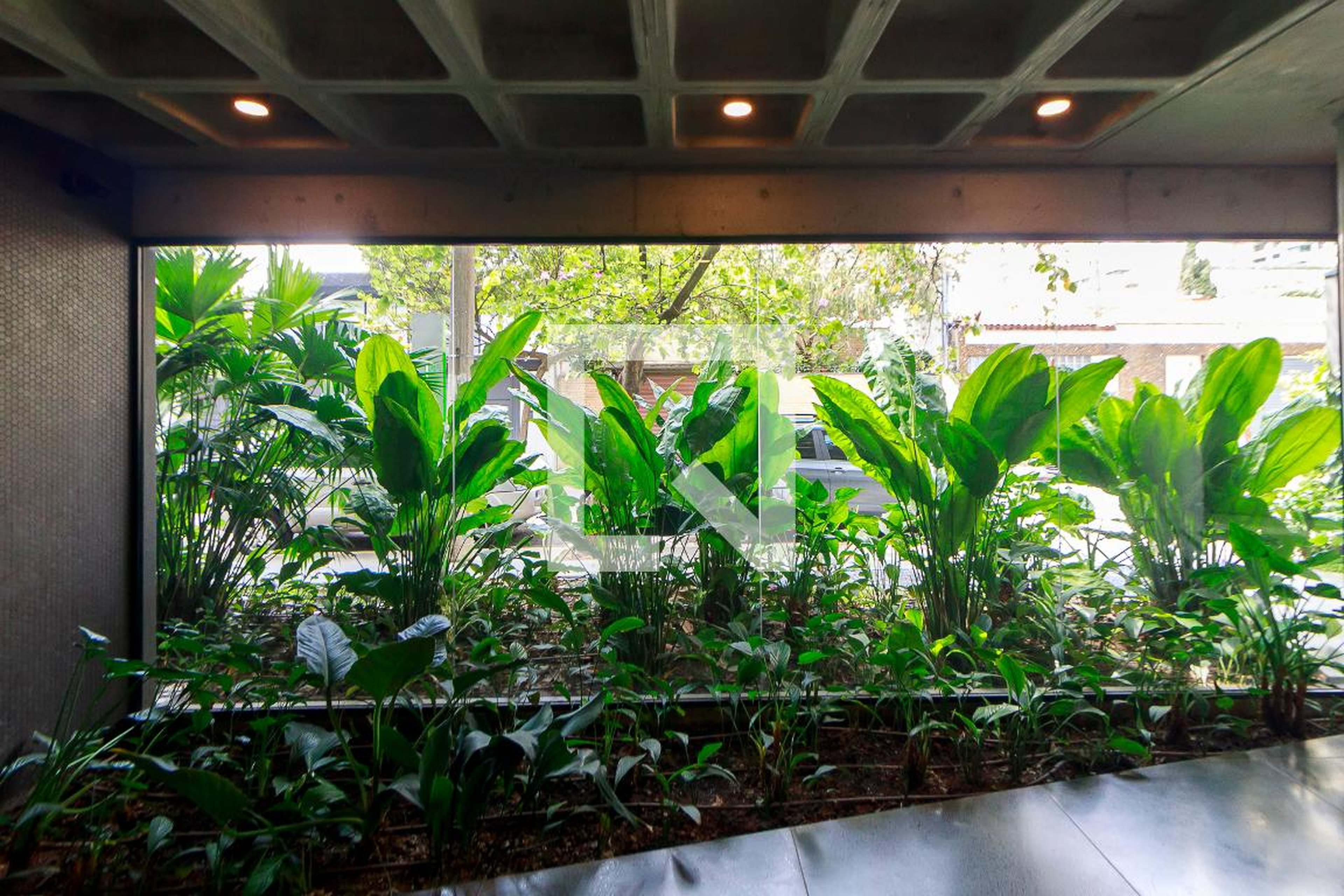 Hall Social - Tico Manguatá