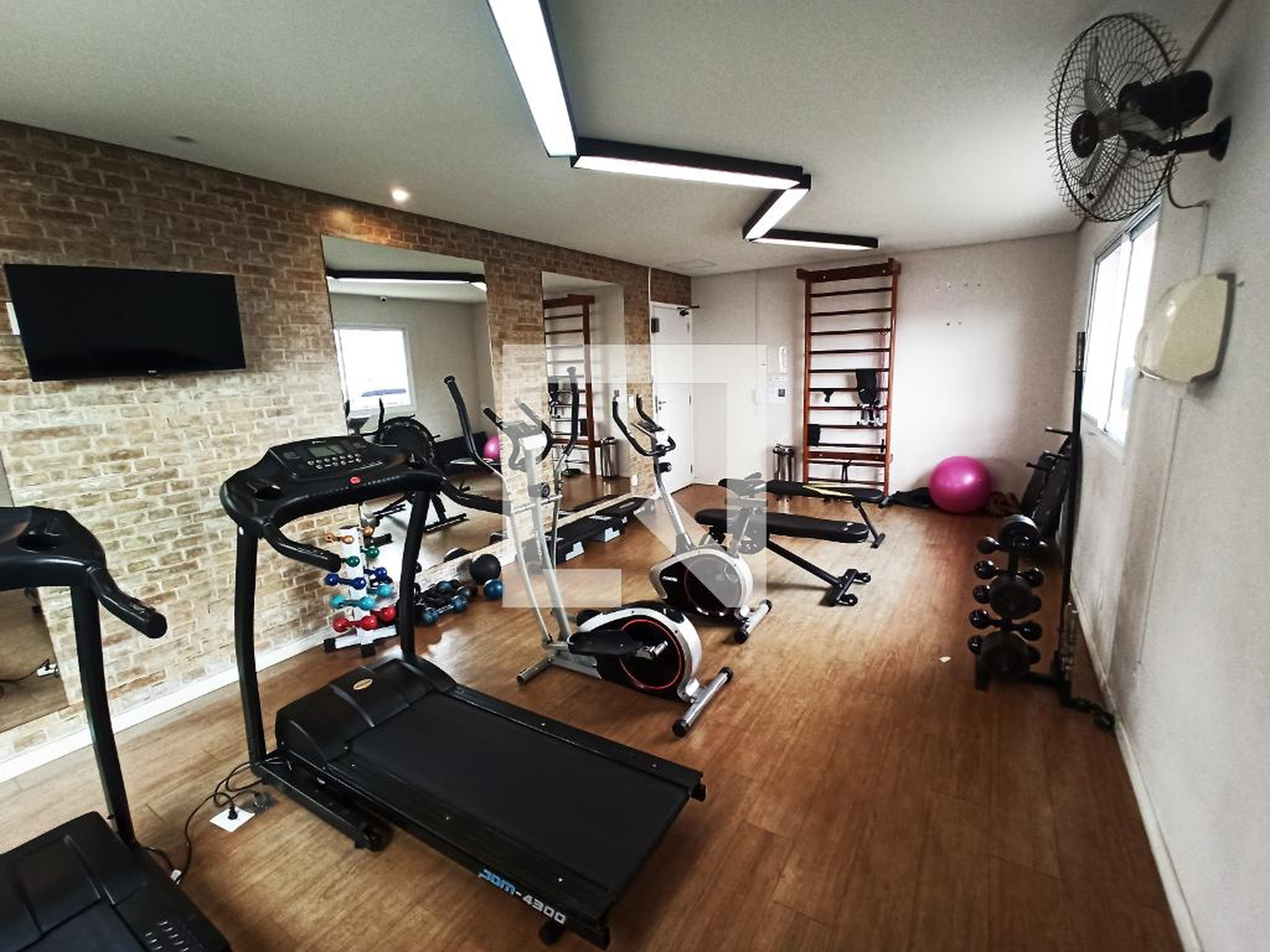 Academia - New City Tree