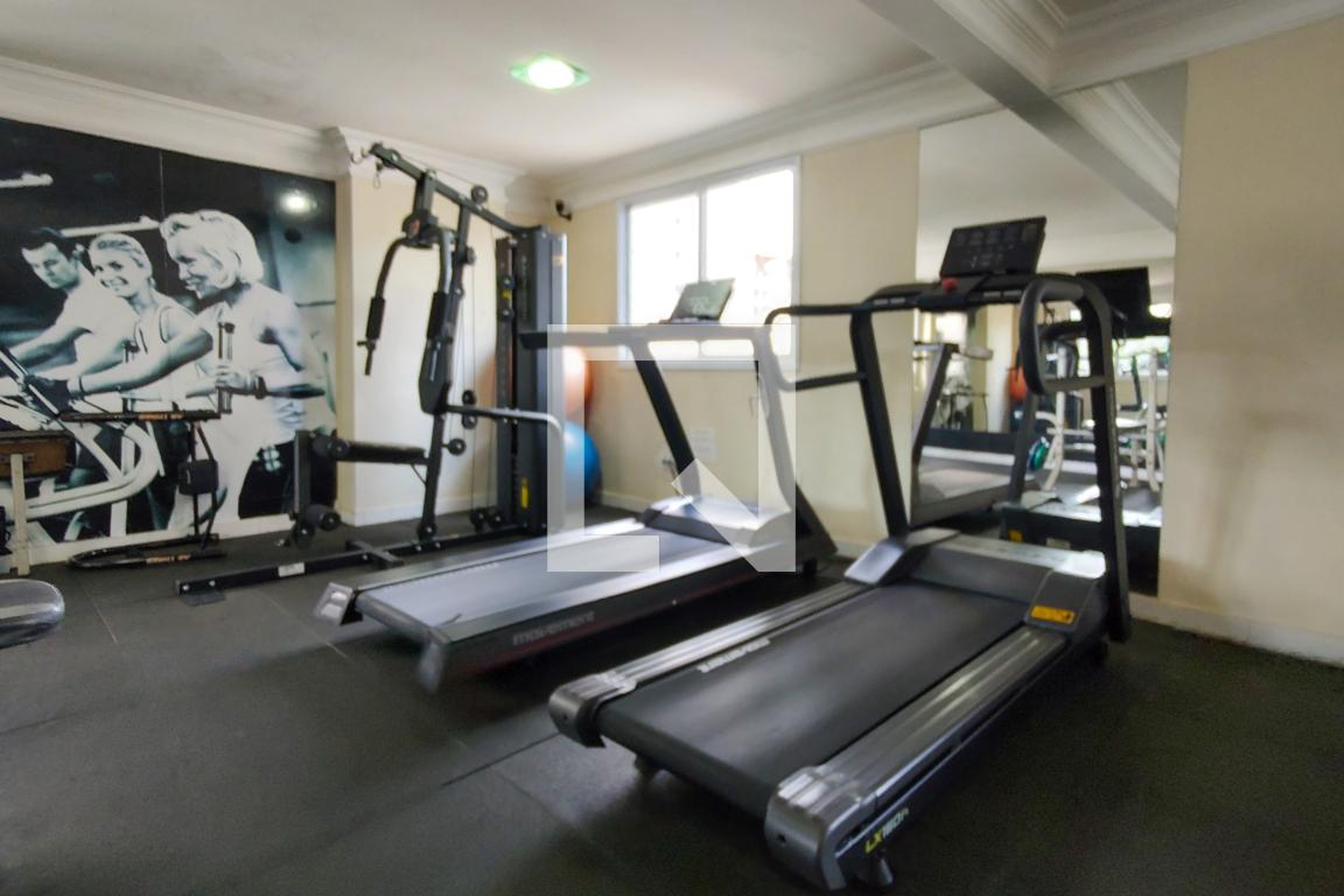 Academia - Blue Garden