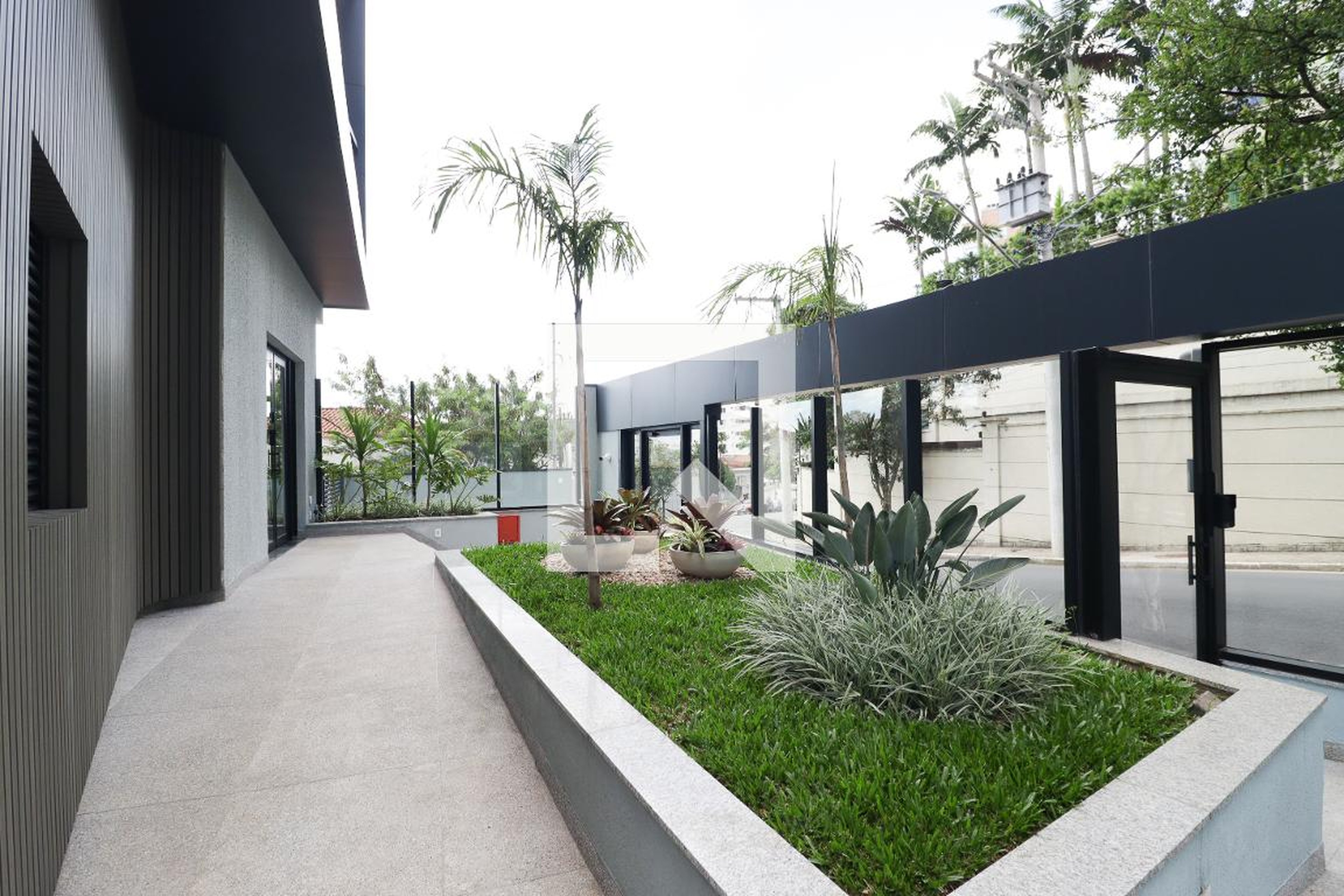 Entrada - Single Tolle