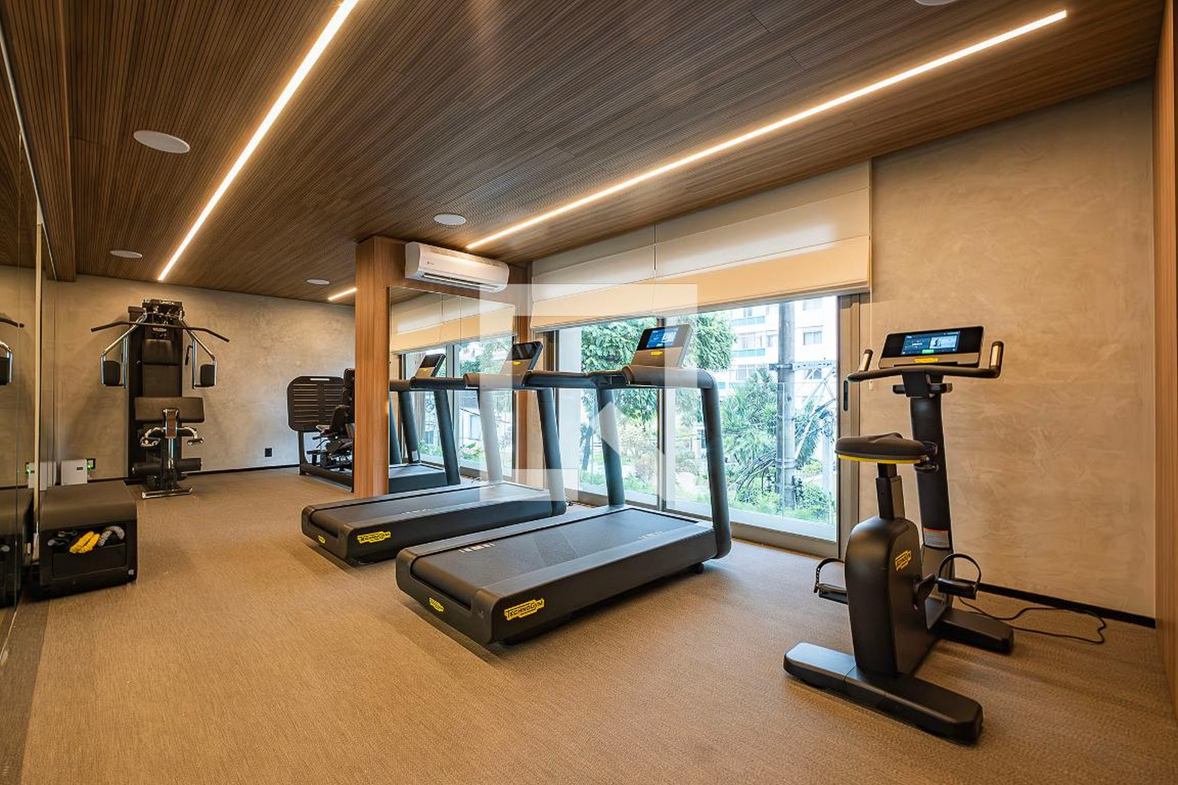 Academia - Haddock 885