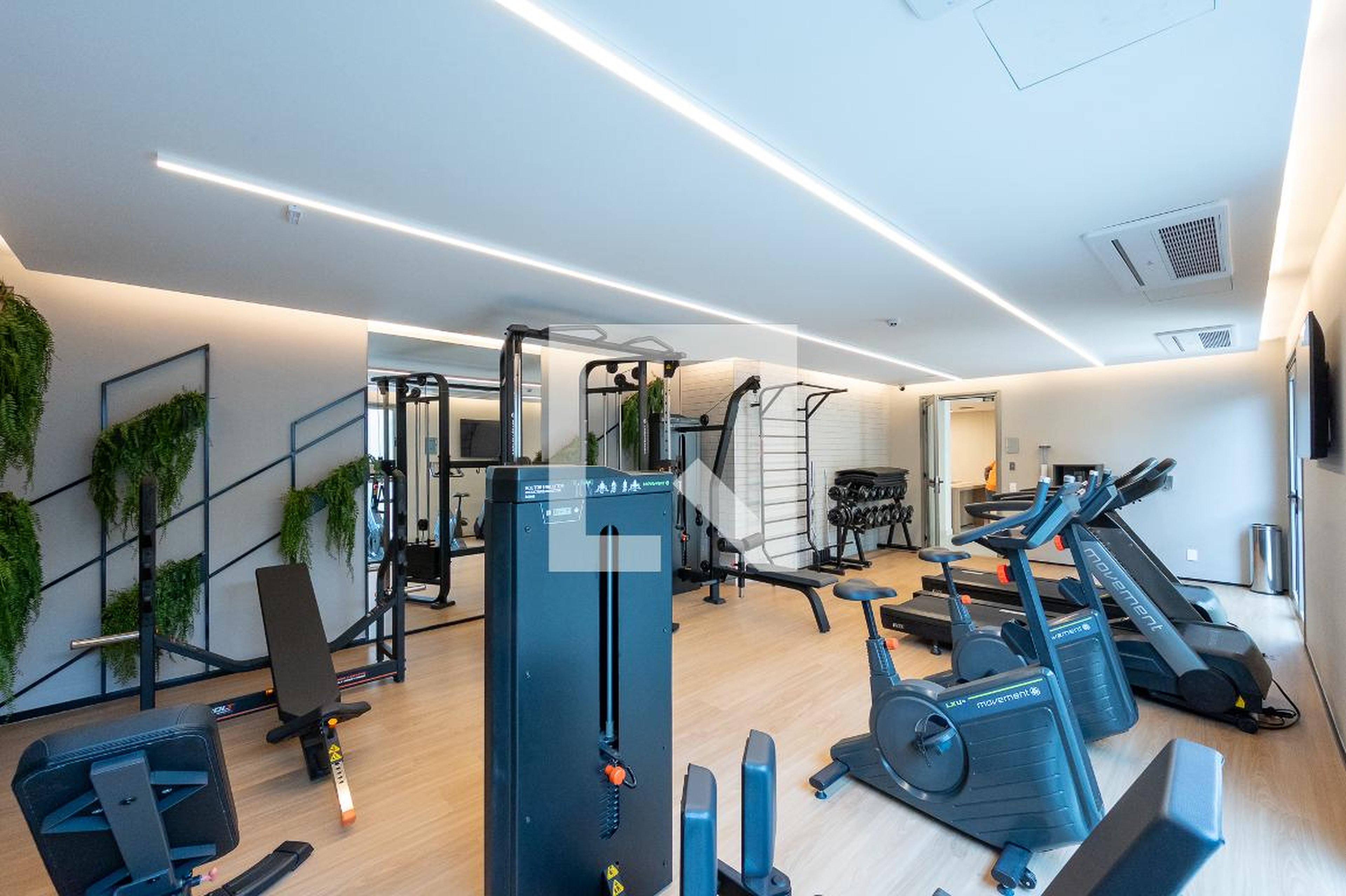 Academia - Organy Singular - NR