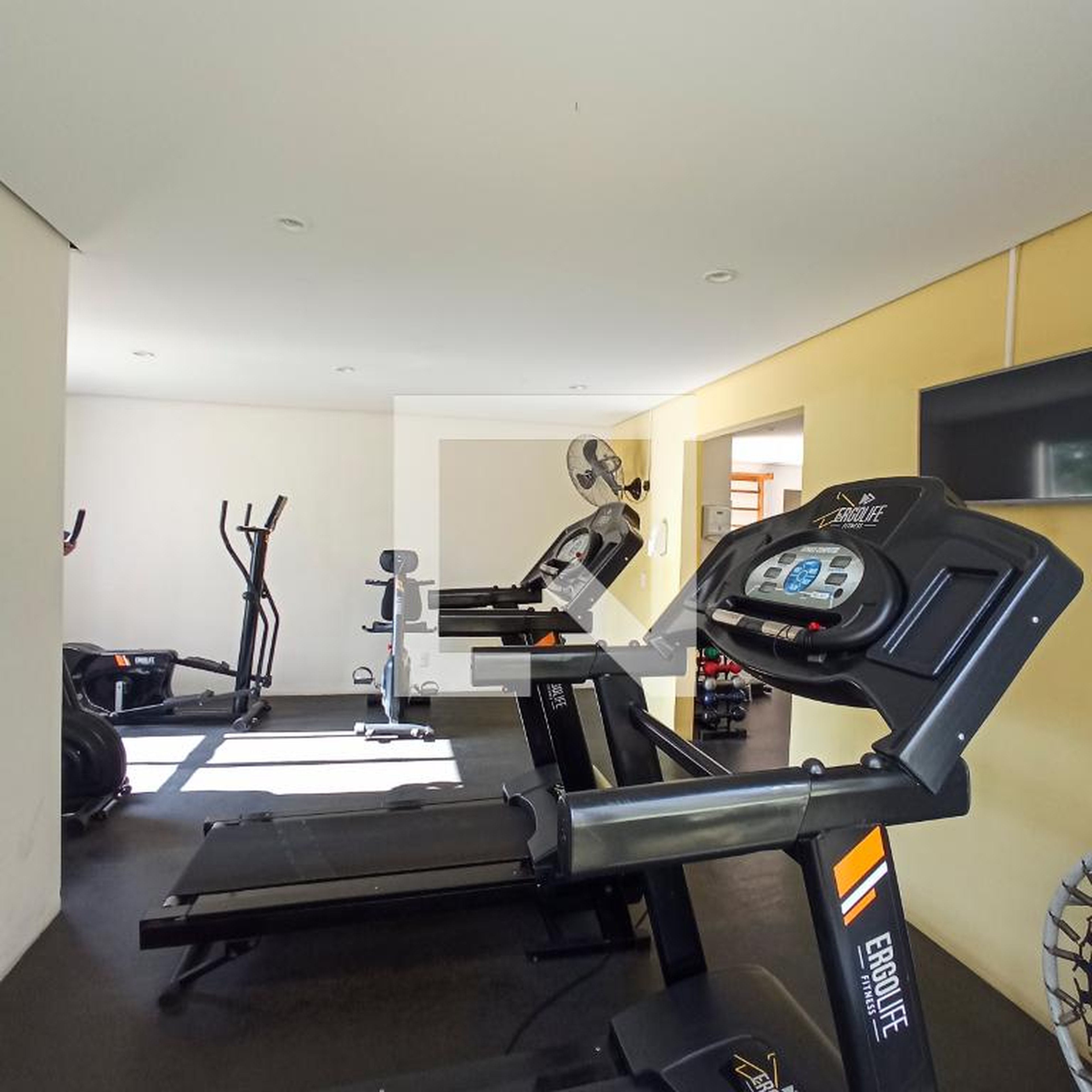 Academia - Alphaview