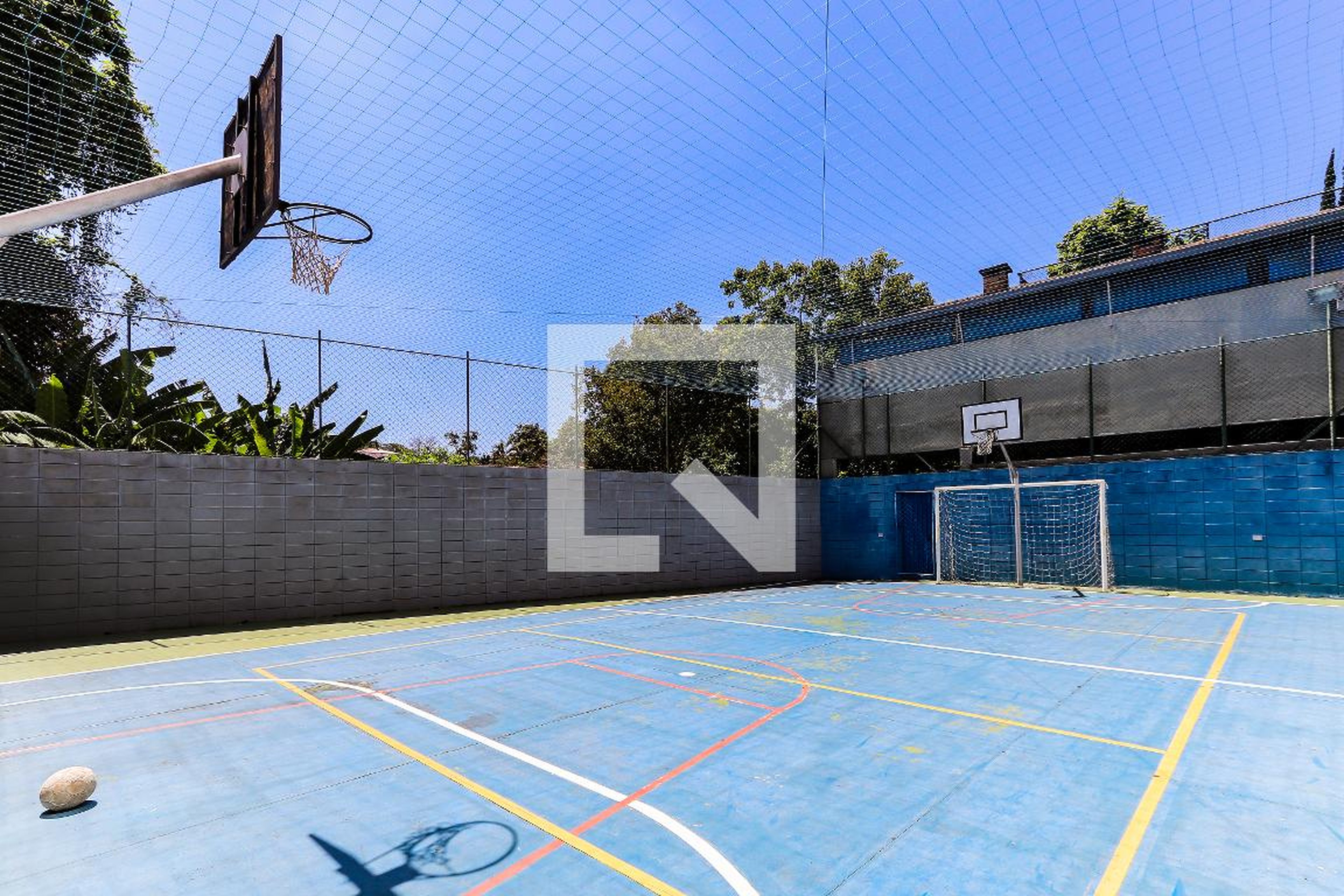 Quadra - Ilhas do Havai