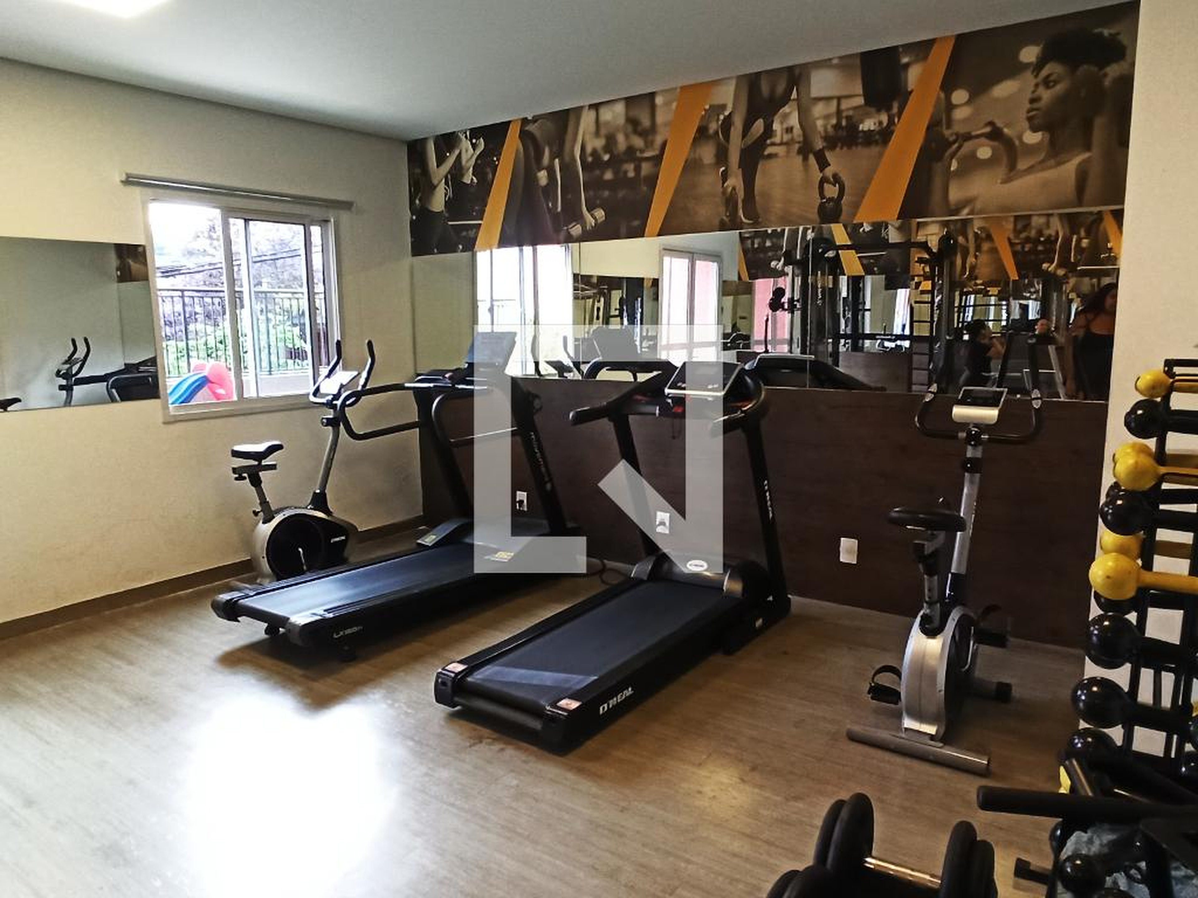 Academia - New Life Freguesia