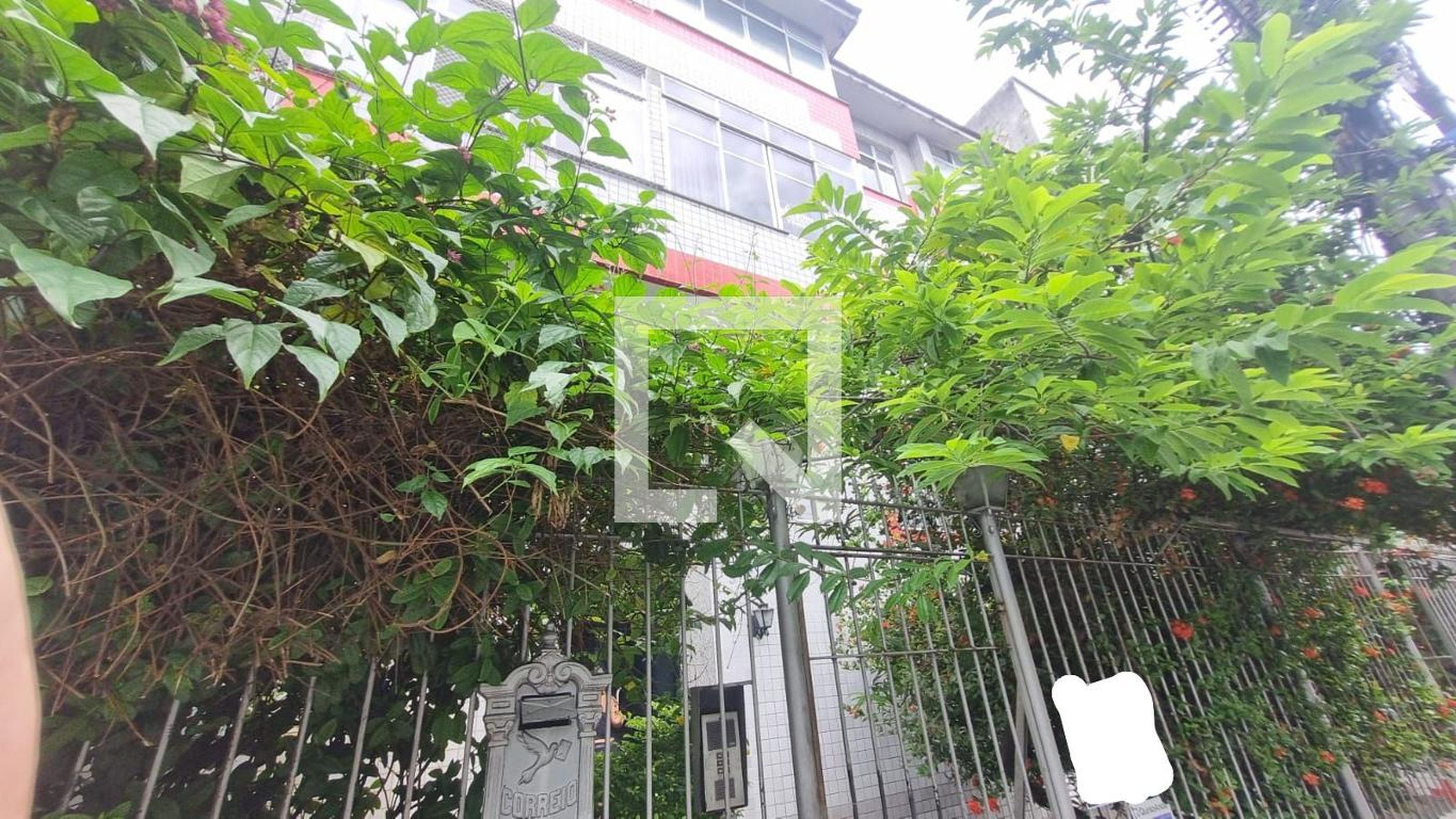 Fachada Edifício Carvalho Netto