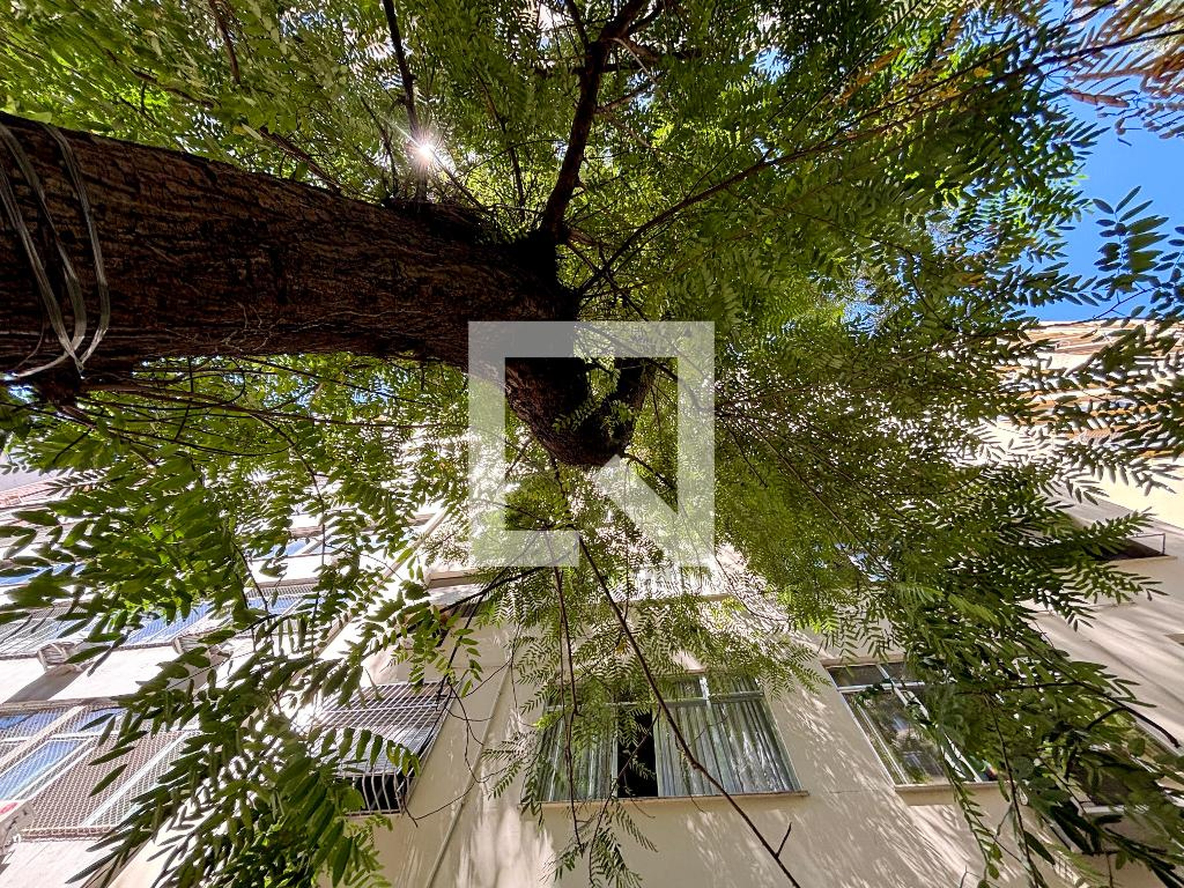 Fachada Condomínio em Rua Belfort Roxo, 376