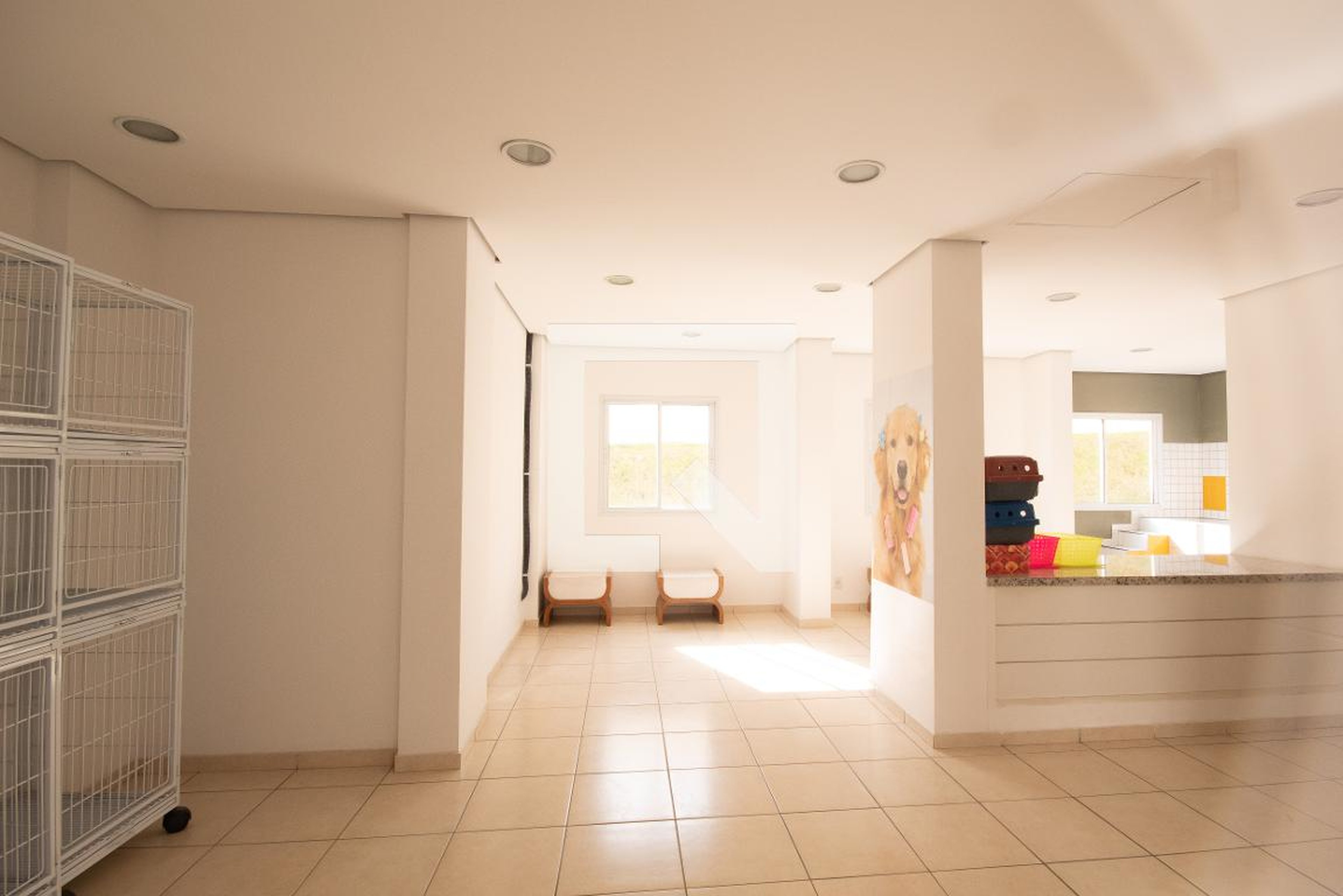 Espaço Pet - Innova Blue