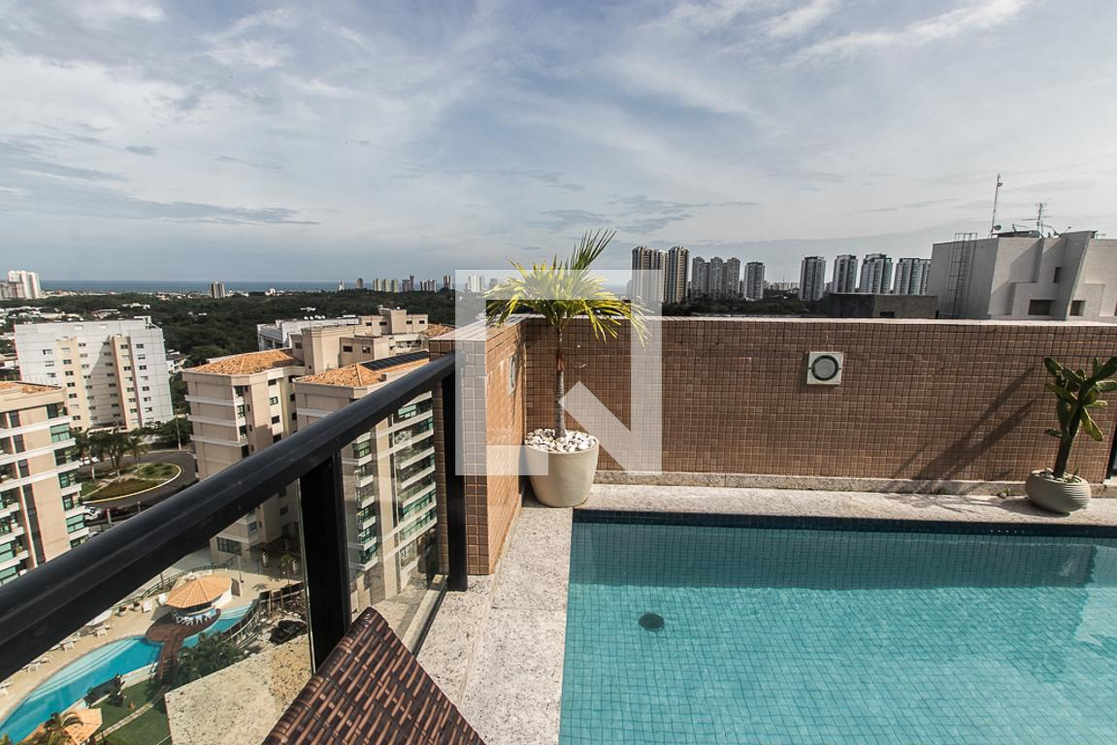Piscina - Palm Ville
