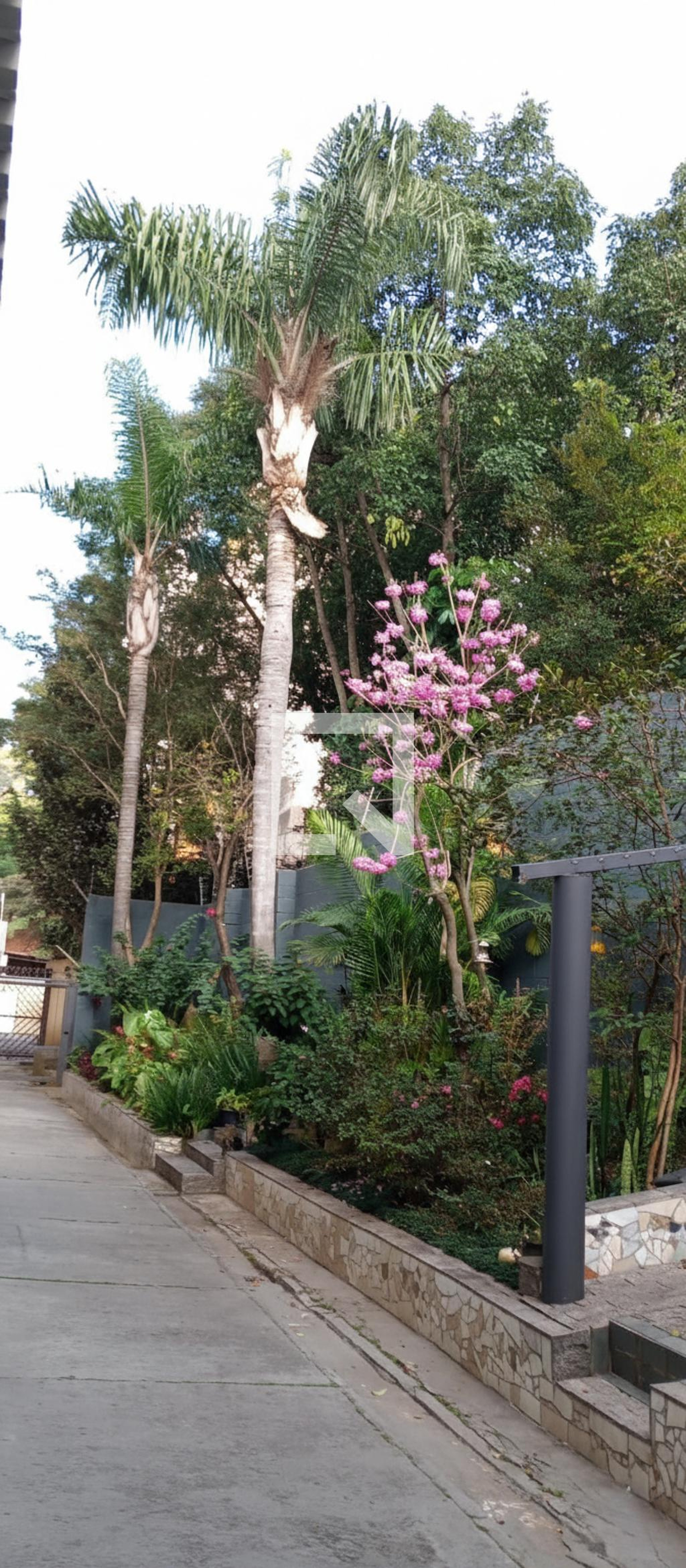 Área externa Condomínio em Rua Pedro Ivo, 50