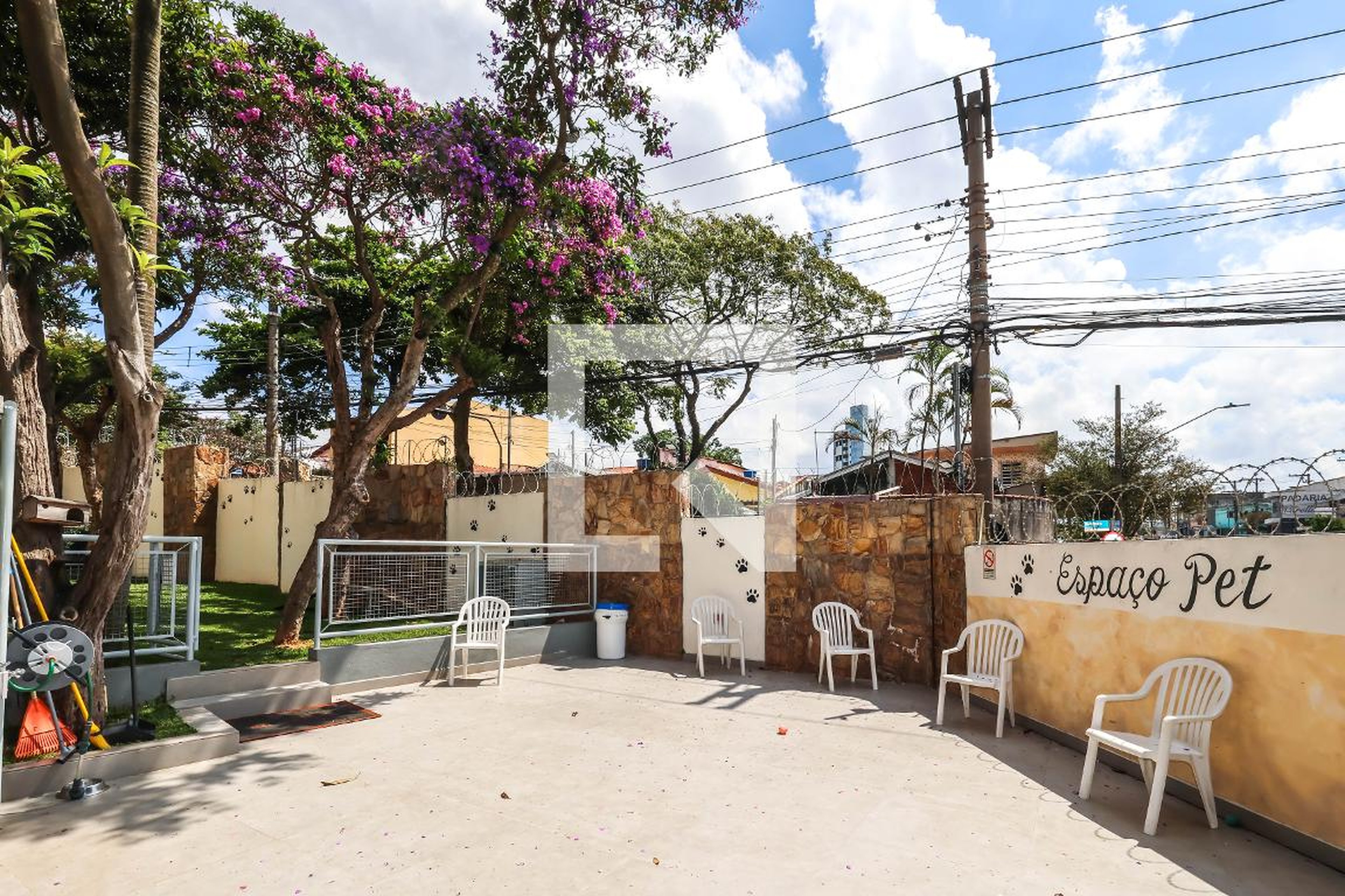 Espaço Pet - Pégasus