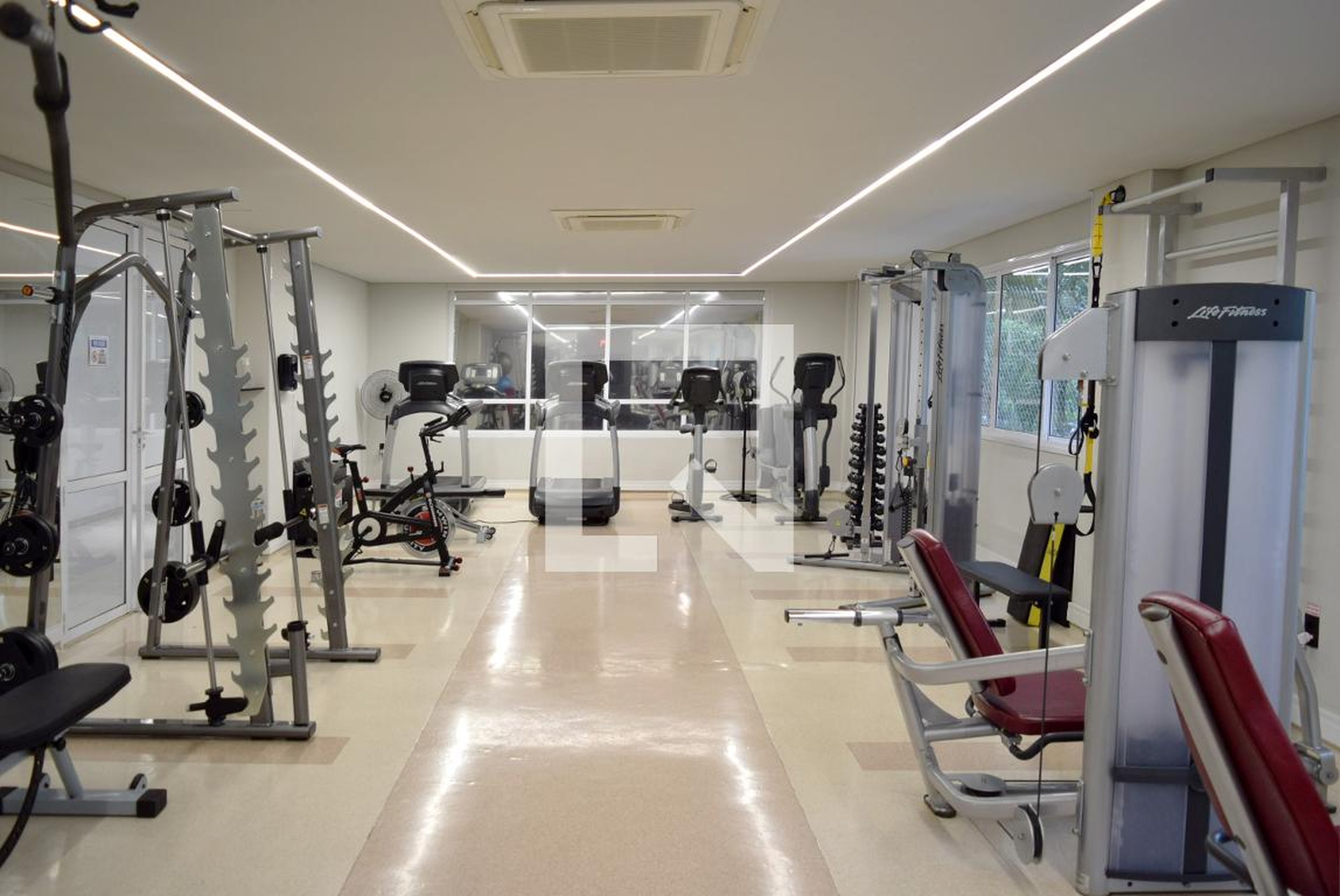 Academia - Le Premier